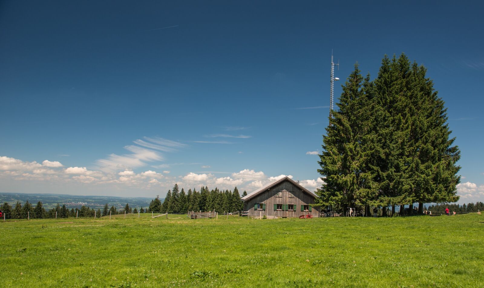 Nikon D800 sample photo. Alm, mountain meadow, pledges photography
