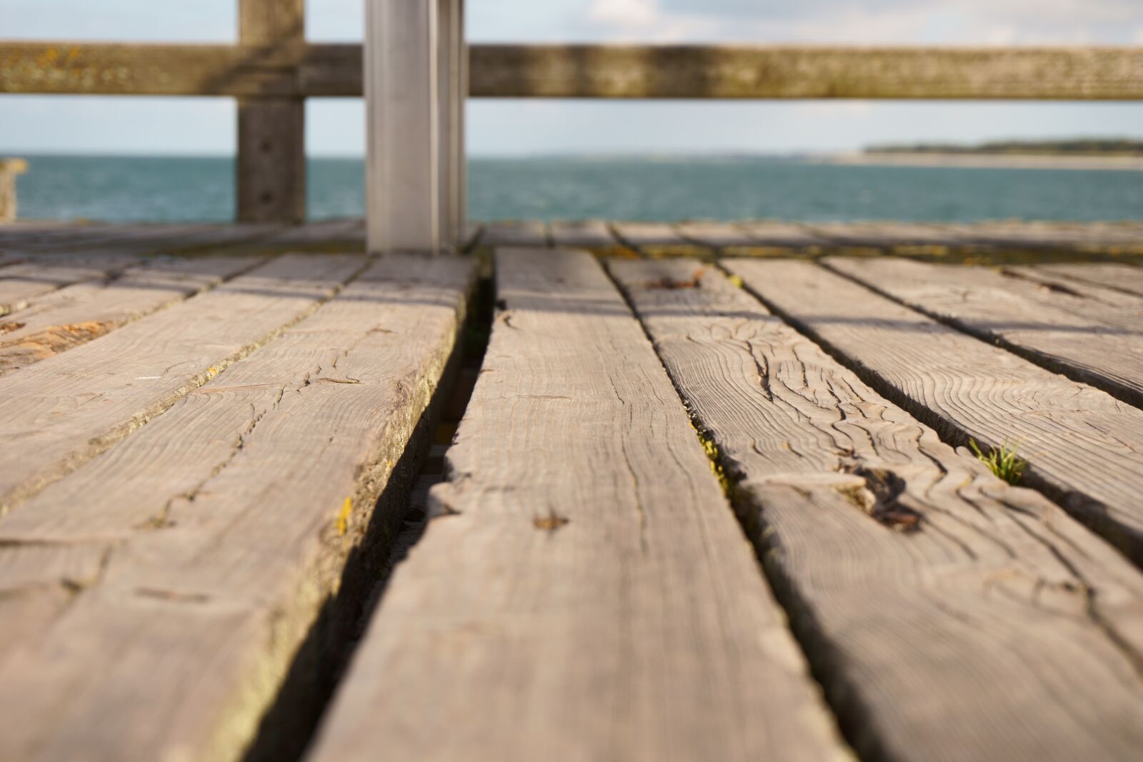 Sony a6000 sample photo. Wood, web, away photography