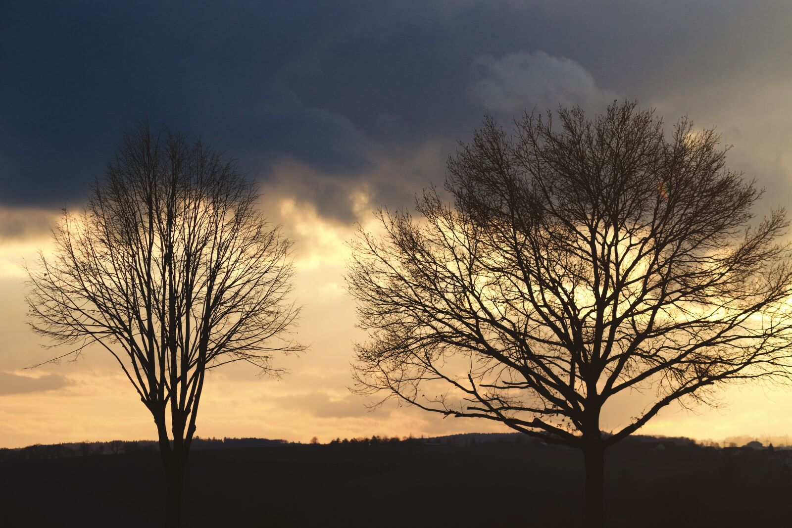 Canon EOS 200D (EOS Rebel SL2 / EOS Kiss X9) sample photo. Winter, silhouette, aesthetic photography