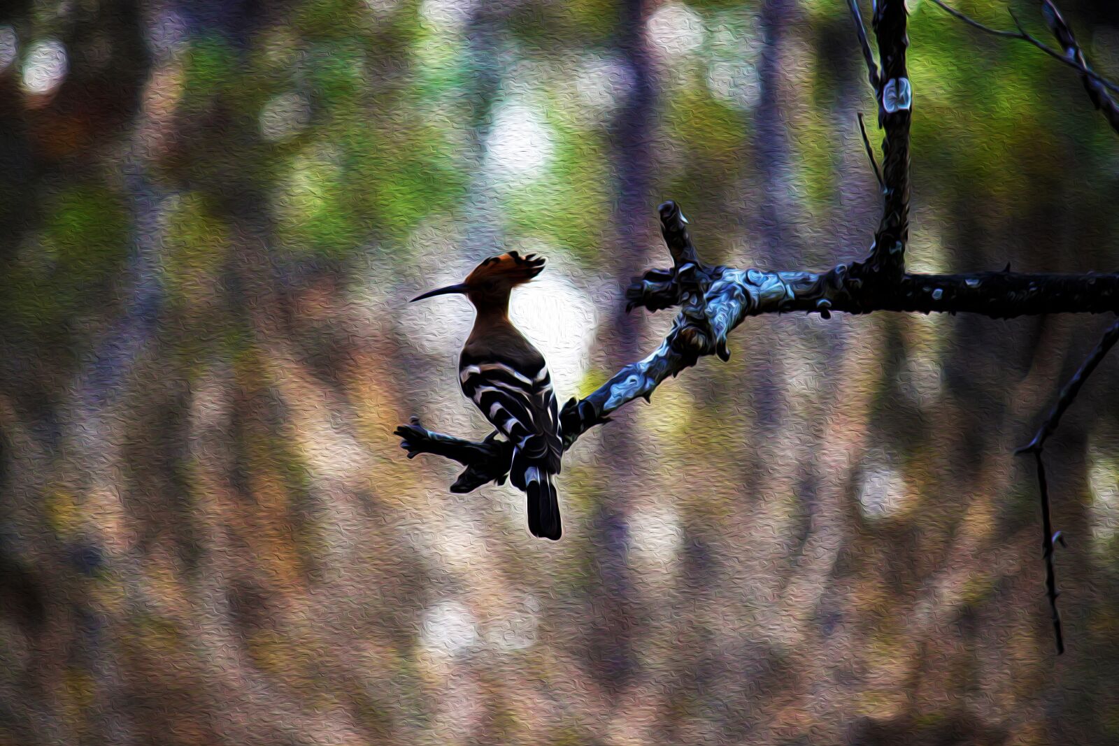 Canon EOS 500D (EOS Rebel T1i / EOS Kiss X3) sample photo. Bird, jungle, nature photography