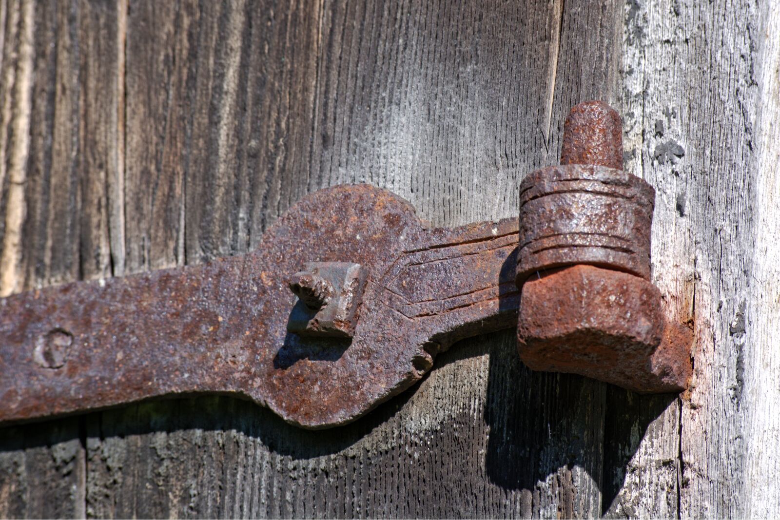 55.0-200.0mm f/4.0-f/5.6 sample photo. Iron, wrought iron, craft photography