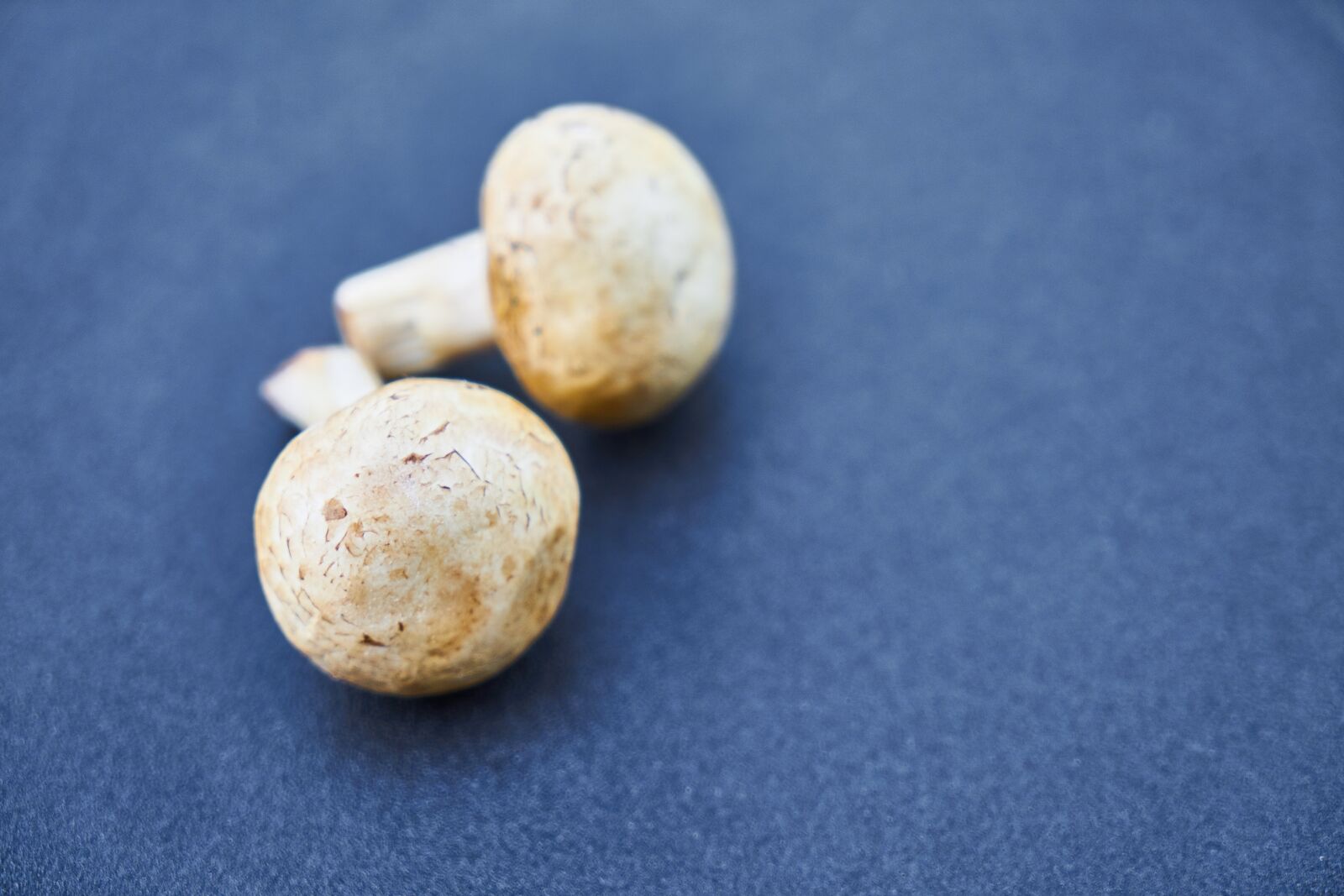 Sony a7R II sample photo. Mushroom, food, vegetable photography