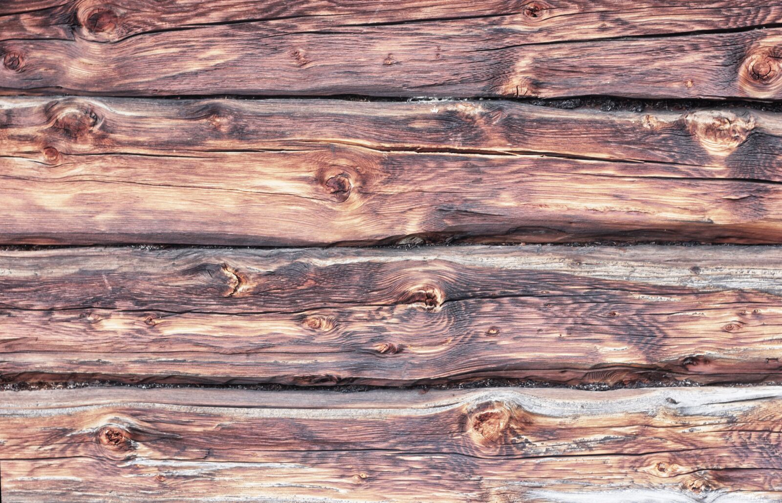 Canon EOS 550D (EOS Rebel T2i / EOS Kiss X4) sample photo. Wood, background, texture photography