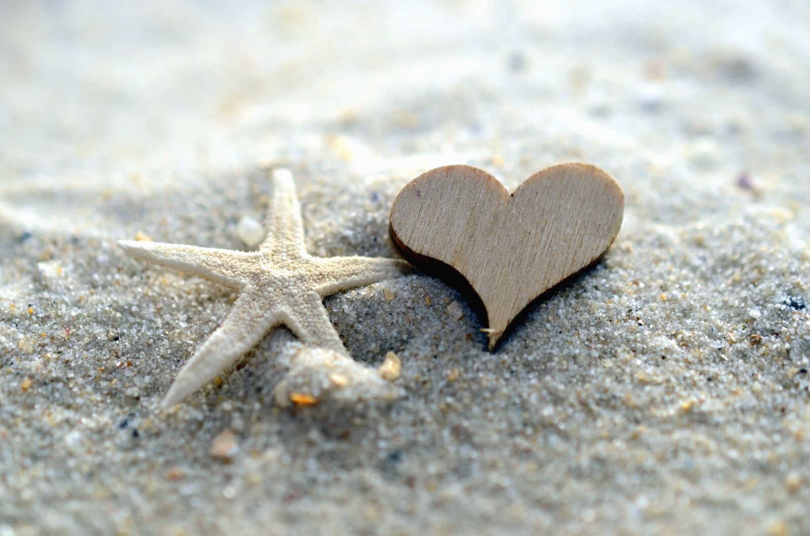 Nikon D5100 sample photo. Heart, star, sand, sea photography