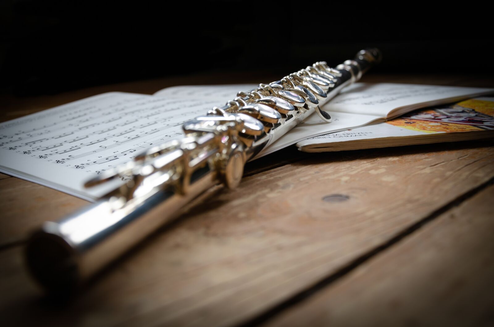 Nikon D5100 sample photo. Flute, music, instruments photography