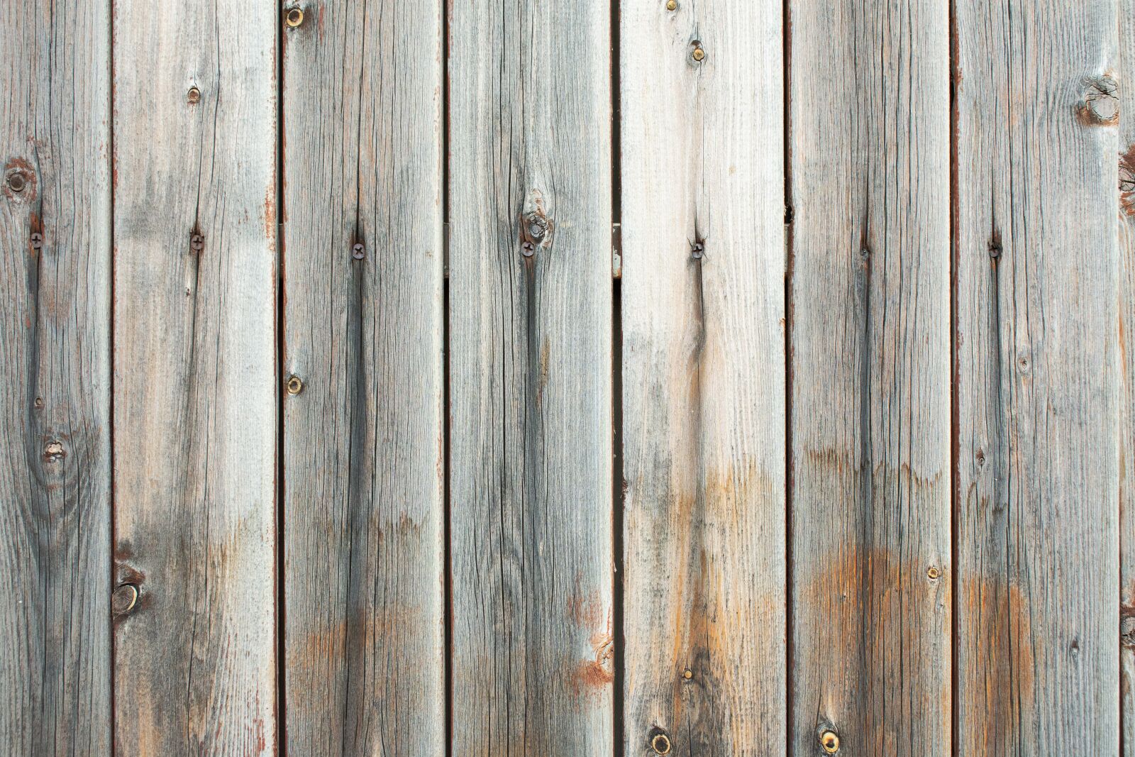 Nikon D7200 sample photo. Tree, fence, texture photography