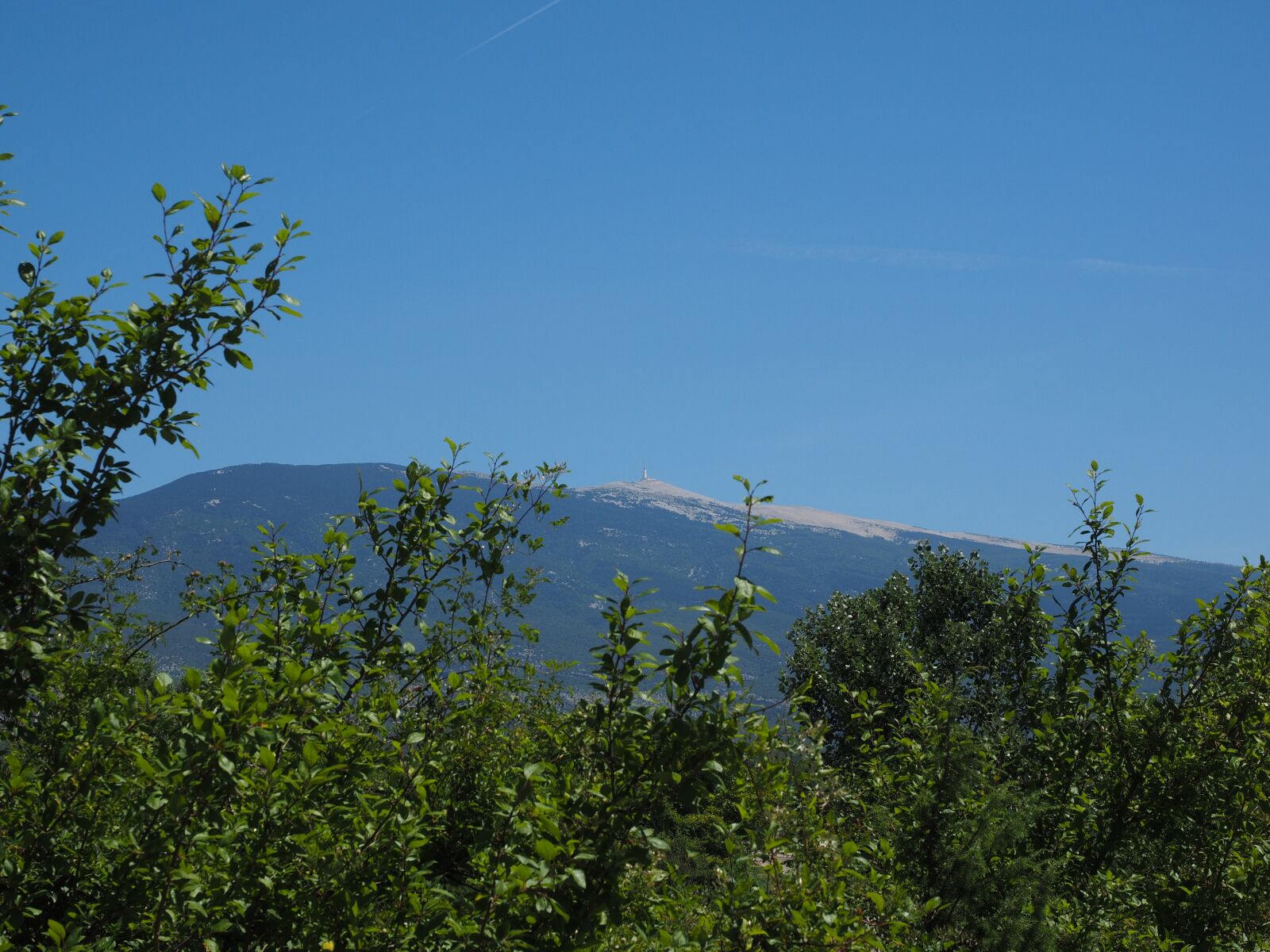 Olympus OM-D E-M1 + Olympus M.Zuiko Digital ED 12-40mm F2.8 Pro sample photo. Ventoux, mountain, provence photography