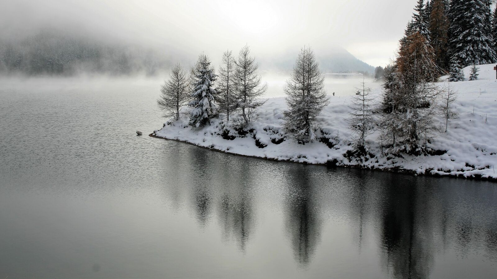 Canon EOS 400D (EOS Digital Rebel XTi / EOS Kiss Digital X) sample photo. Larch, winter, landscape photography