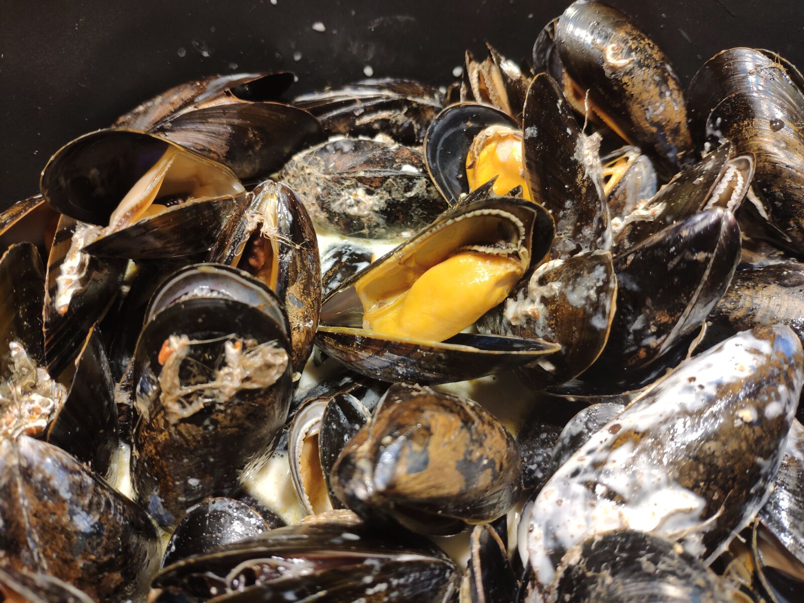 Xiaomi MI 8 sample photo. Mussels, shellfish, seafood photography