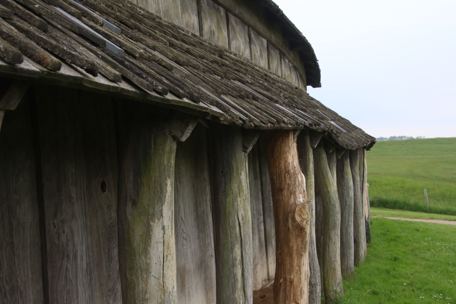 Canon EOS 7D Mark II sample photo. Field, grass, home, house photography