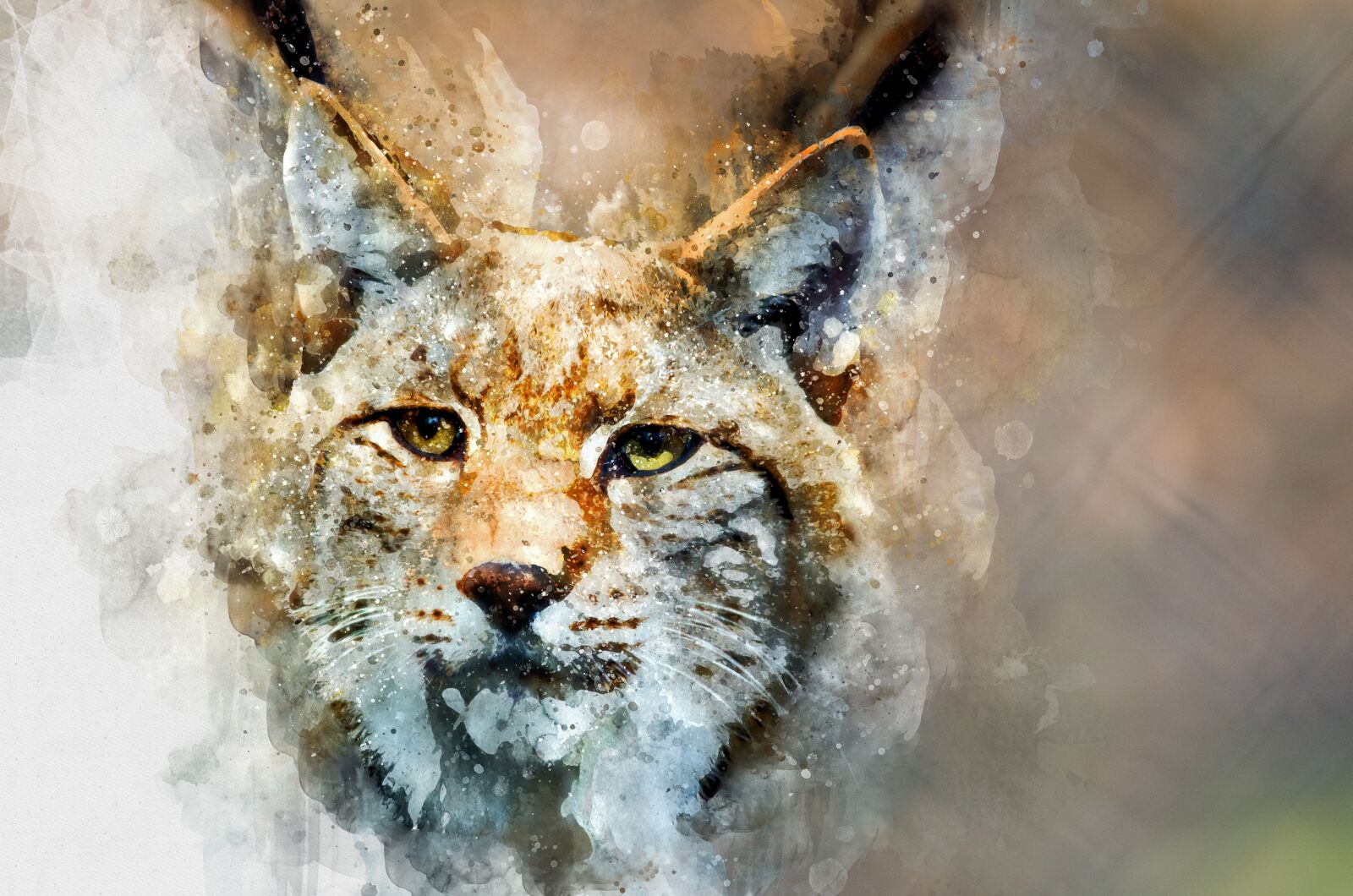 Nikon D7000 sample photo. Wild, cat, watercolor photography