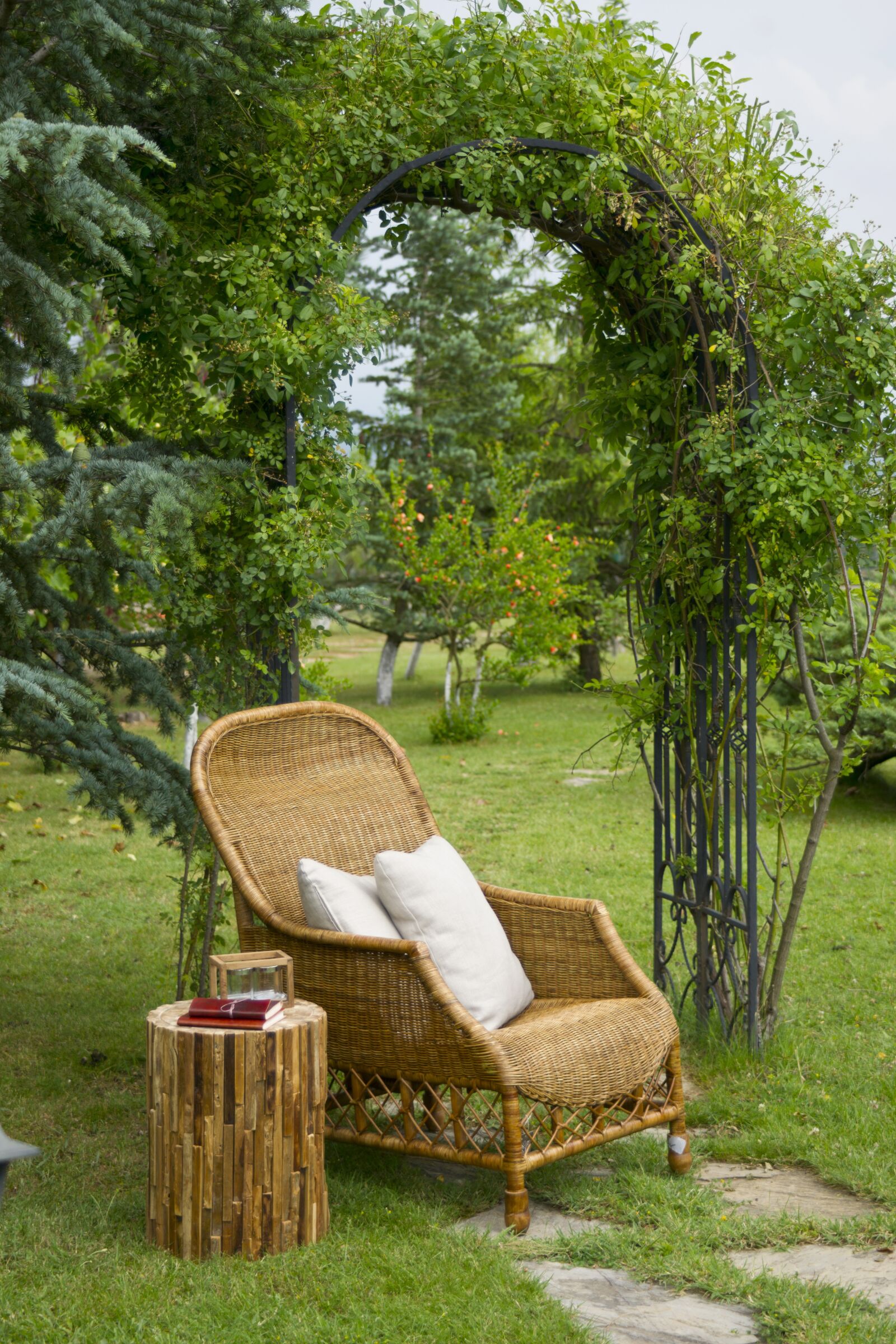 Sony Alpha DSLR-A850 sample photo. Chair, furniture, background photography