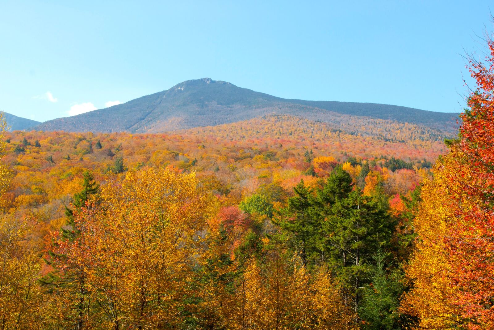 Canon EOS 550D (EOS Rebel T2i / EOS Kiss X4) sample photo. Autumn season, overlooking, woods photography