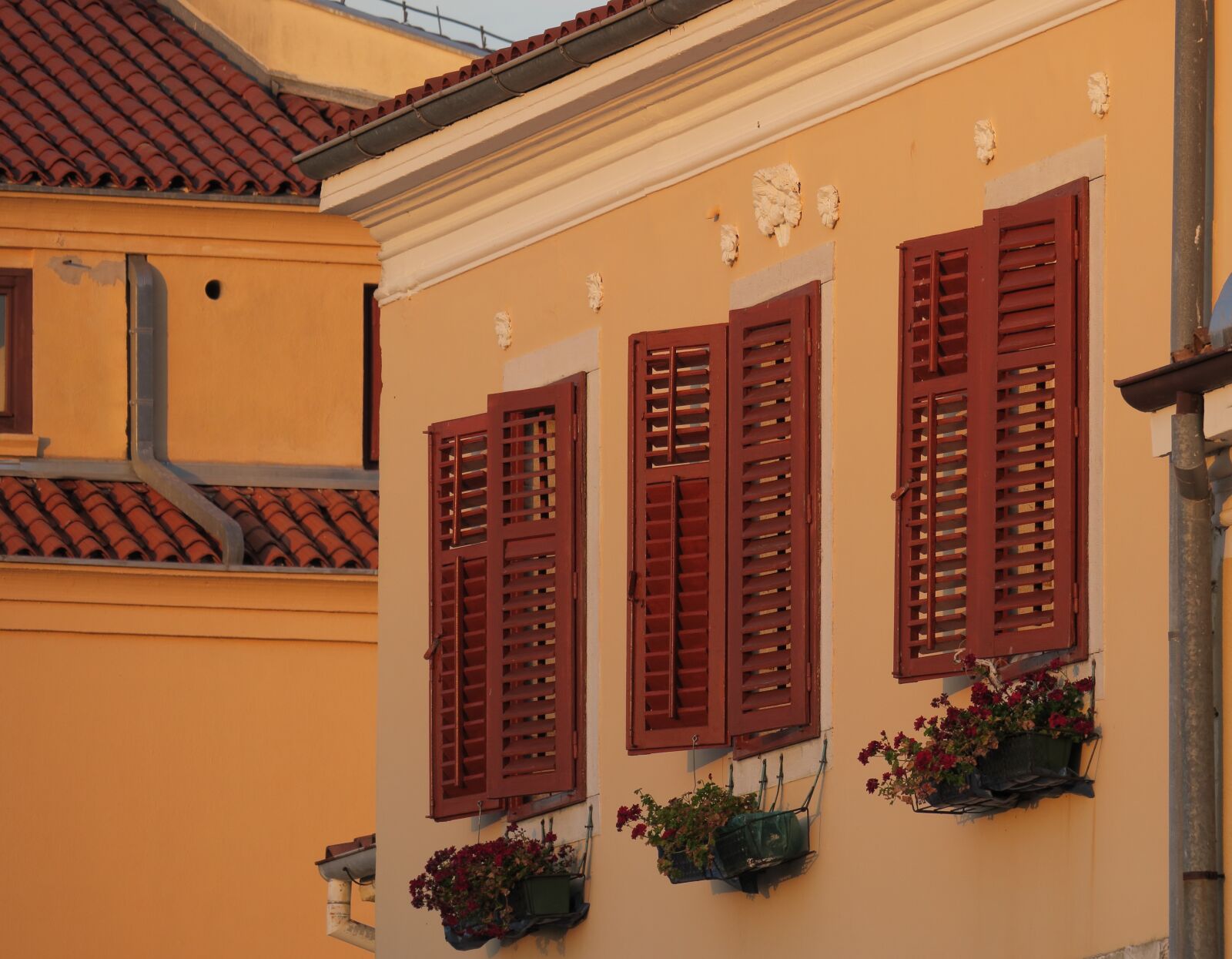 Canon PowerShot G3 X sample photo. Window, shutters, vrsar photography