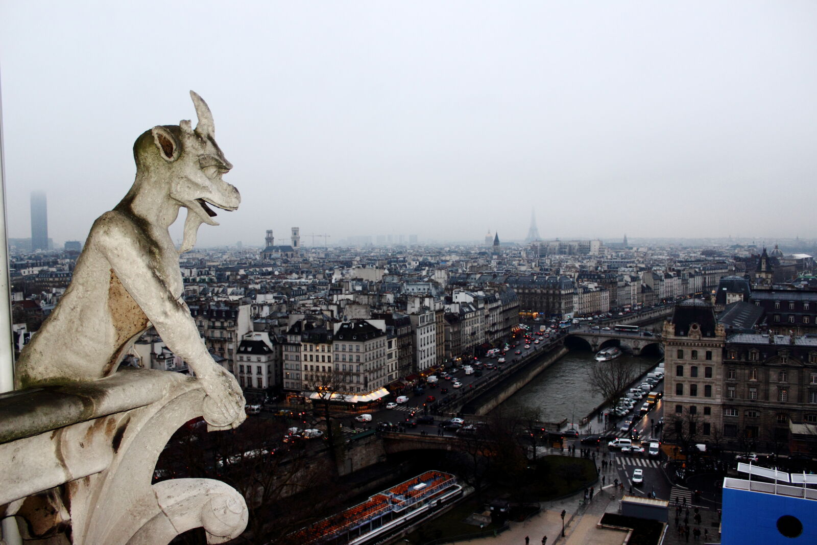 Canon EOS 600D (Rebel EOS T3i / EOS Kiss X5) sample photo. Gargoyles, paris photography