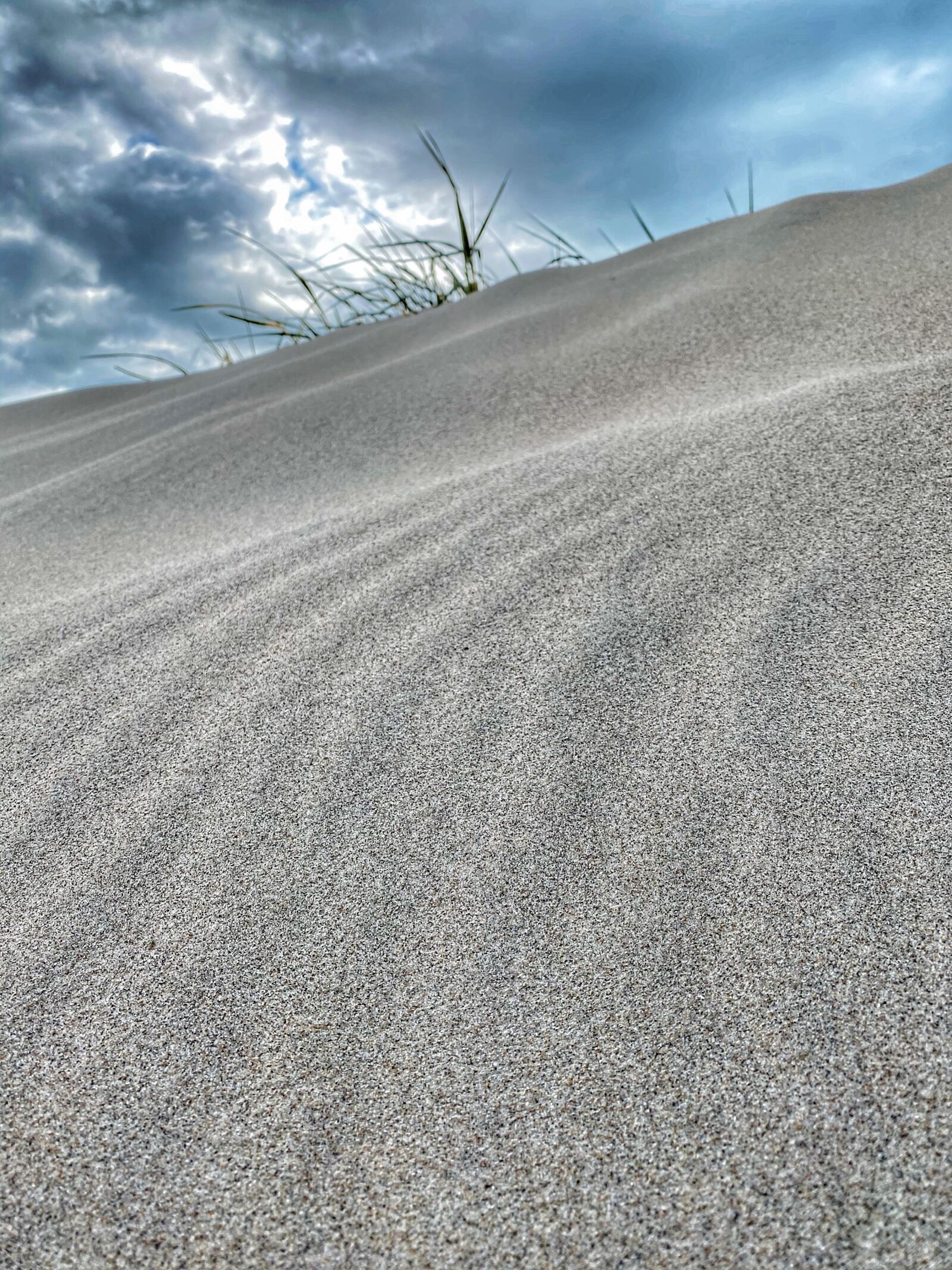 Apple iPhone 11 Pro sample photo. Sand, dunes, nature photography