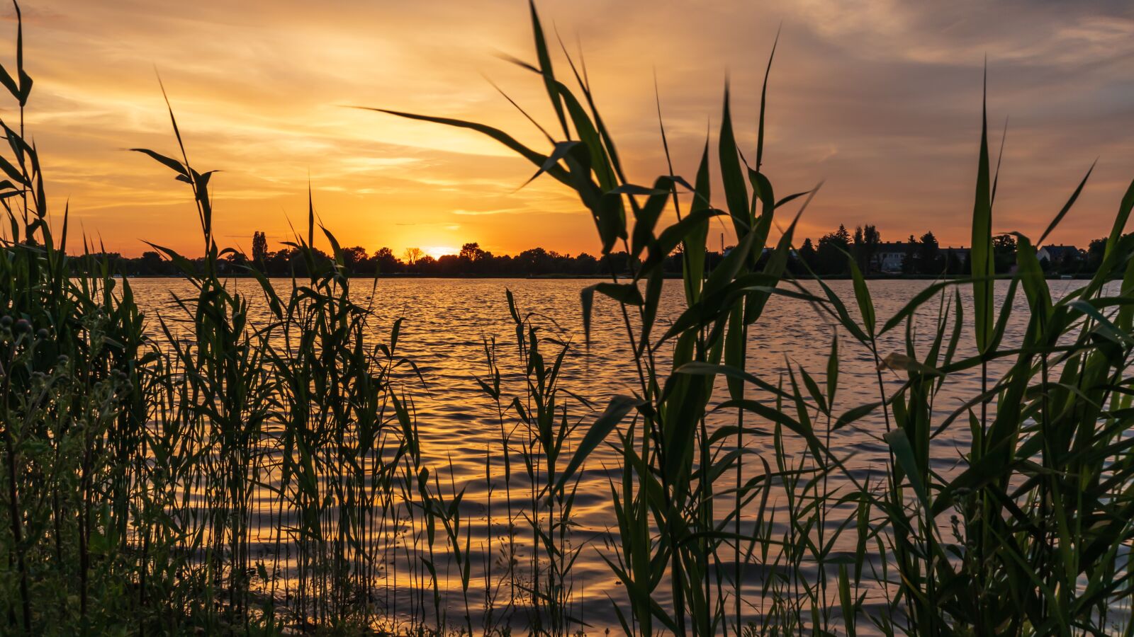 Canon EOS 80D sample photo. Sunset, lake, summer photography