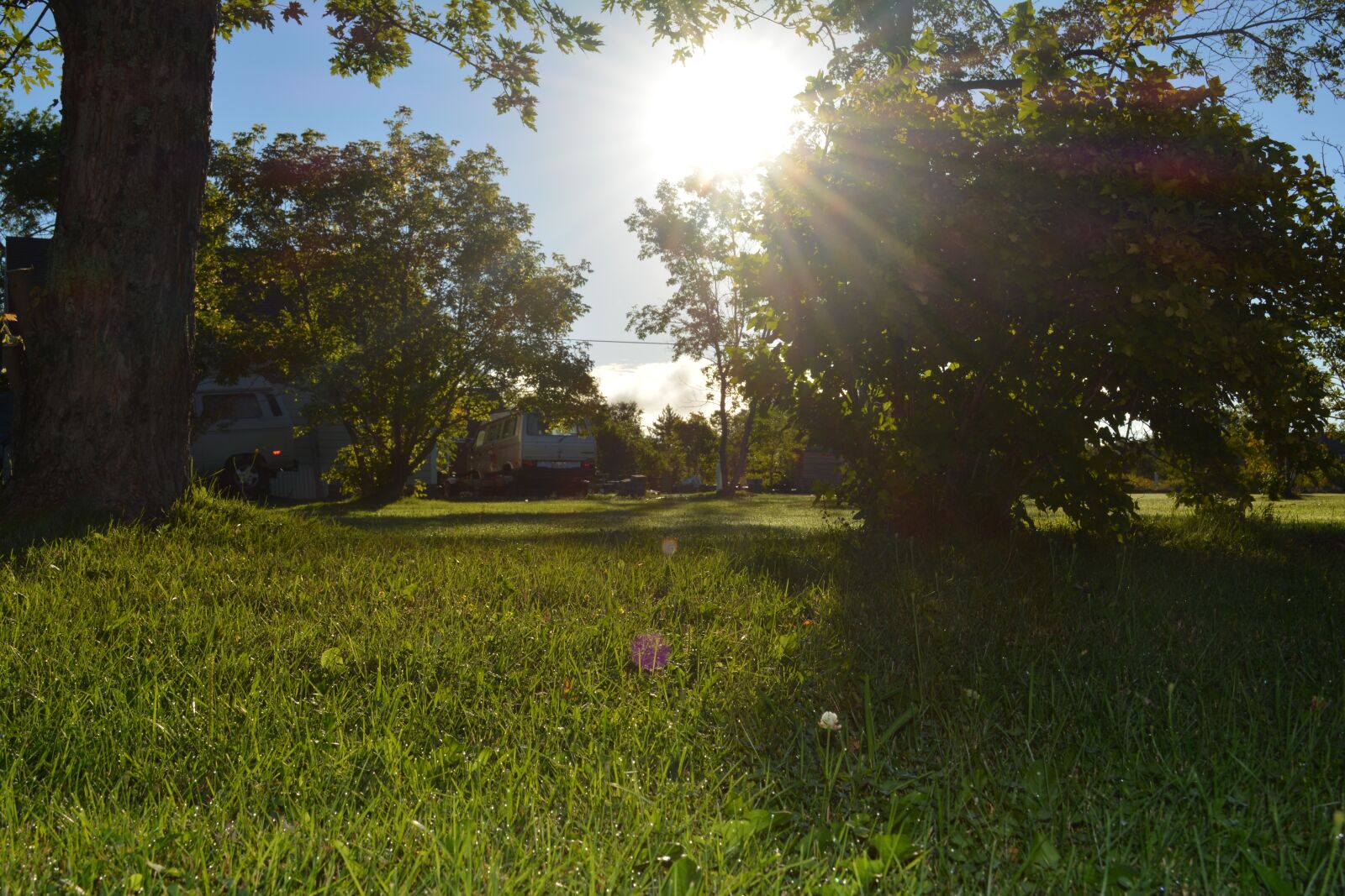 Nikon D5200 sample photo. Sun, nature, summer photography