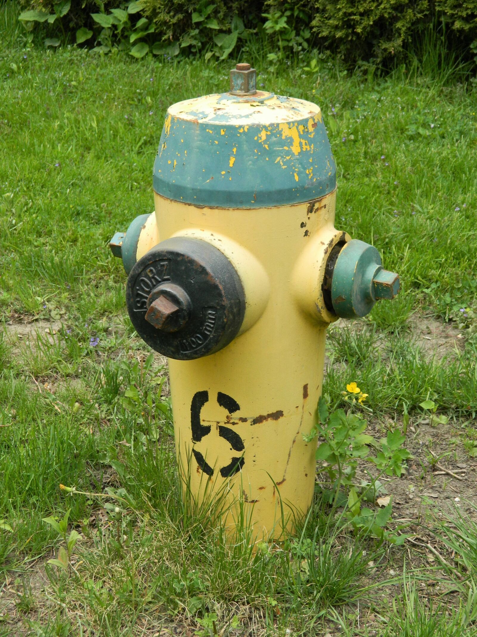 Nikon Coolpix L120 sample photo. Hydrant, water connection, fire photography