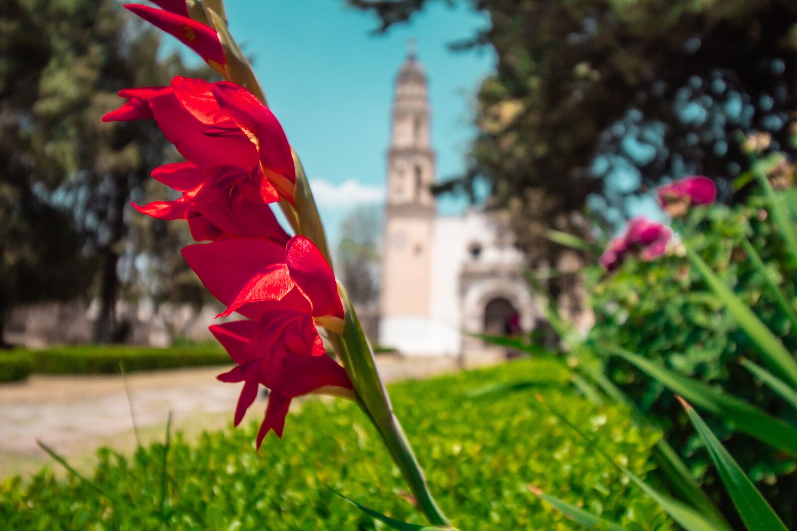 Canon EOS 1300D (EOS Rebel T6 / EOS Kiss X80) sample photo. Flower, church, mexico photography