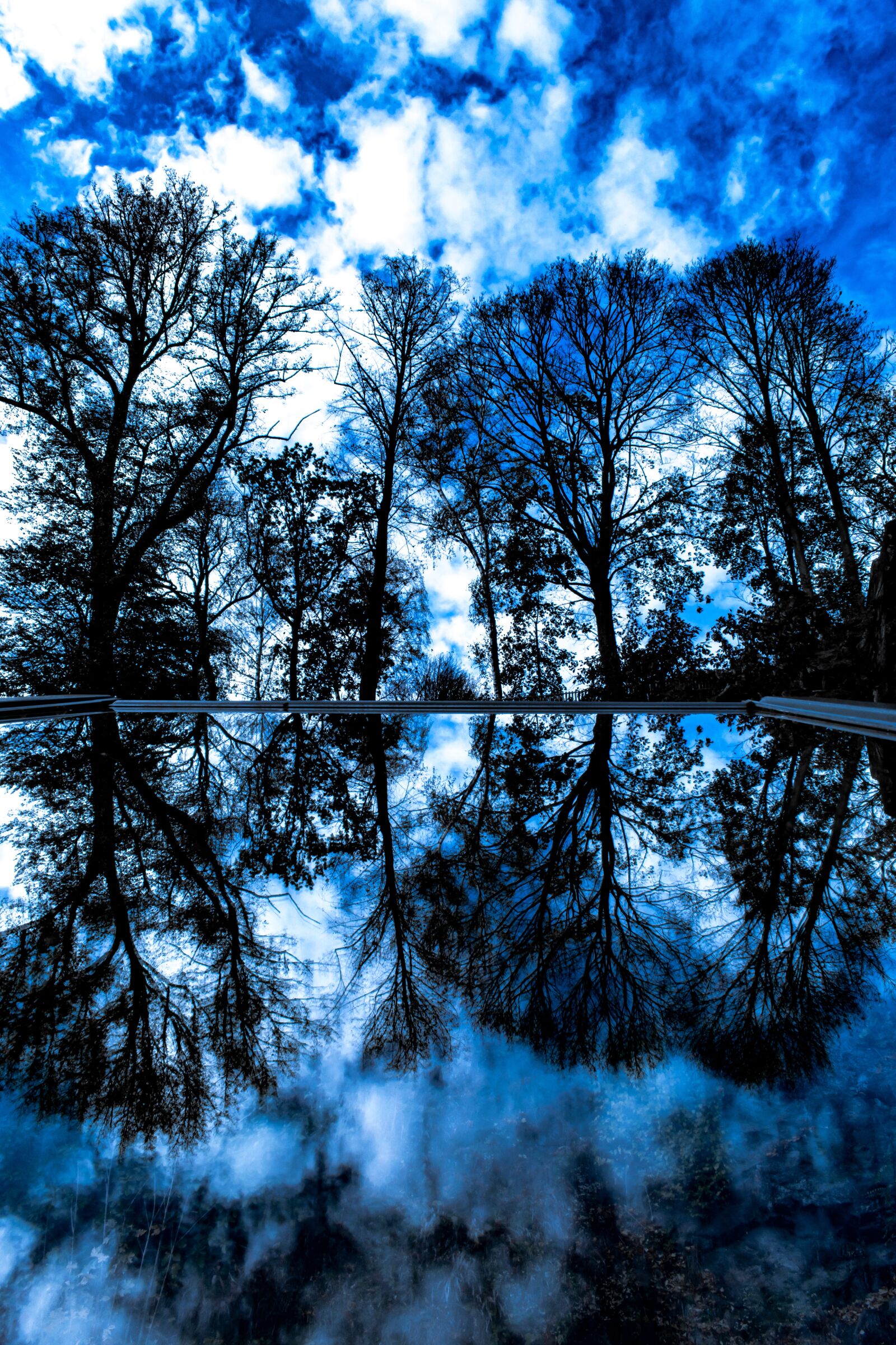 Nikon D5300 sample photo. Trees, mirroring, blue photography