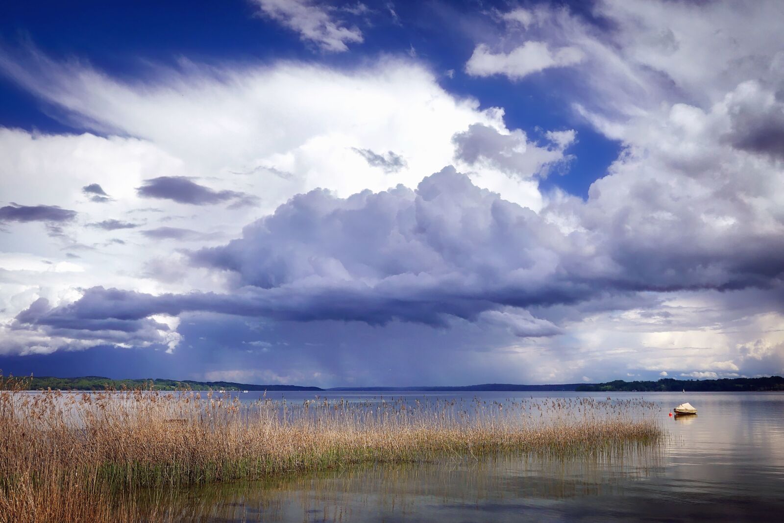 Panasonic Lumix DMC-GX8 sample photo. Swamp, lake, water, grass photography