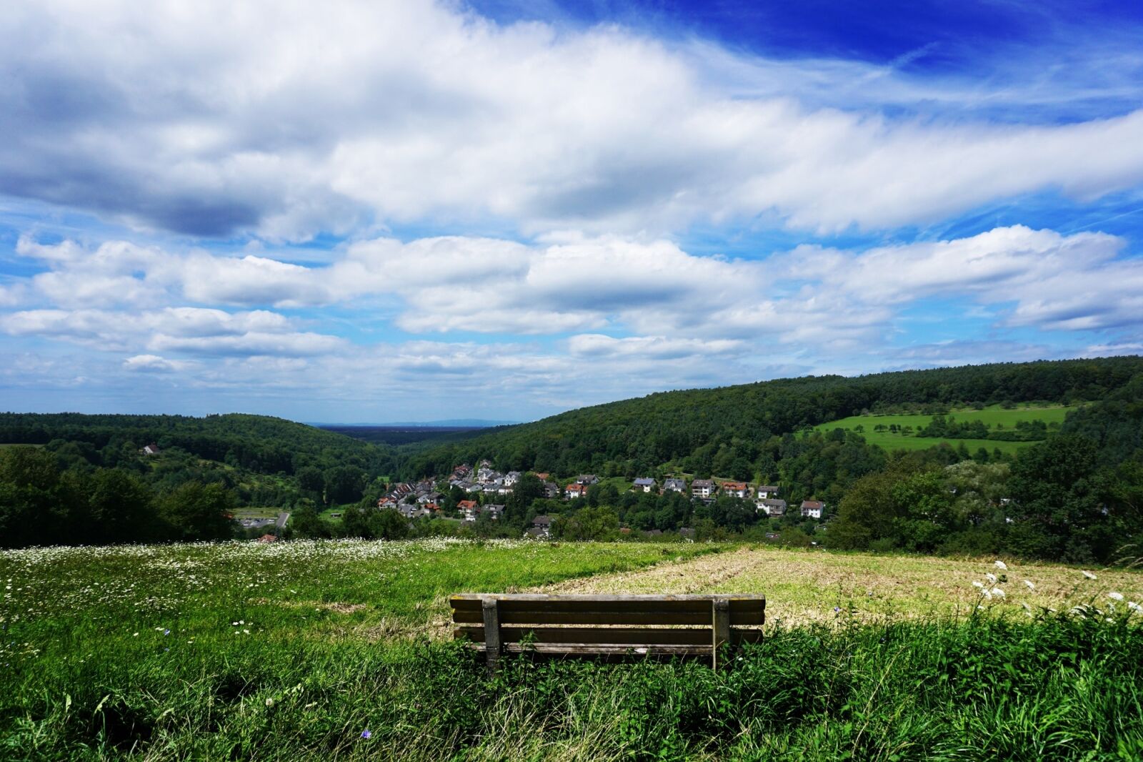 Sony a6000 sample photo. Unfortunately bach, view to photography