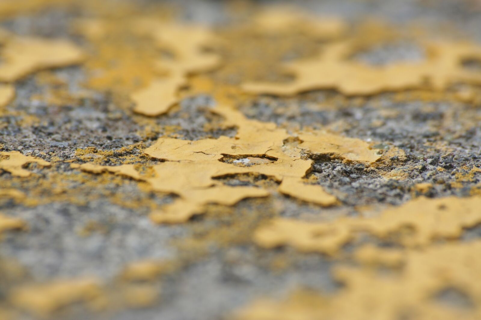 Canon EOS 350D (EOS Digital Rebel XT / EOS Kiss Digital N) sample photo. Yellow, asphalt, stains photography
