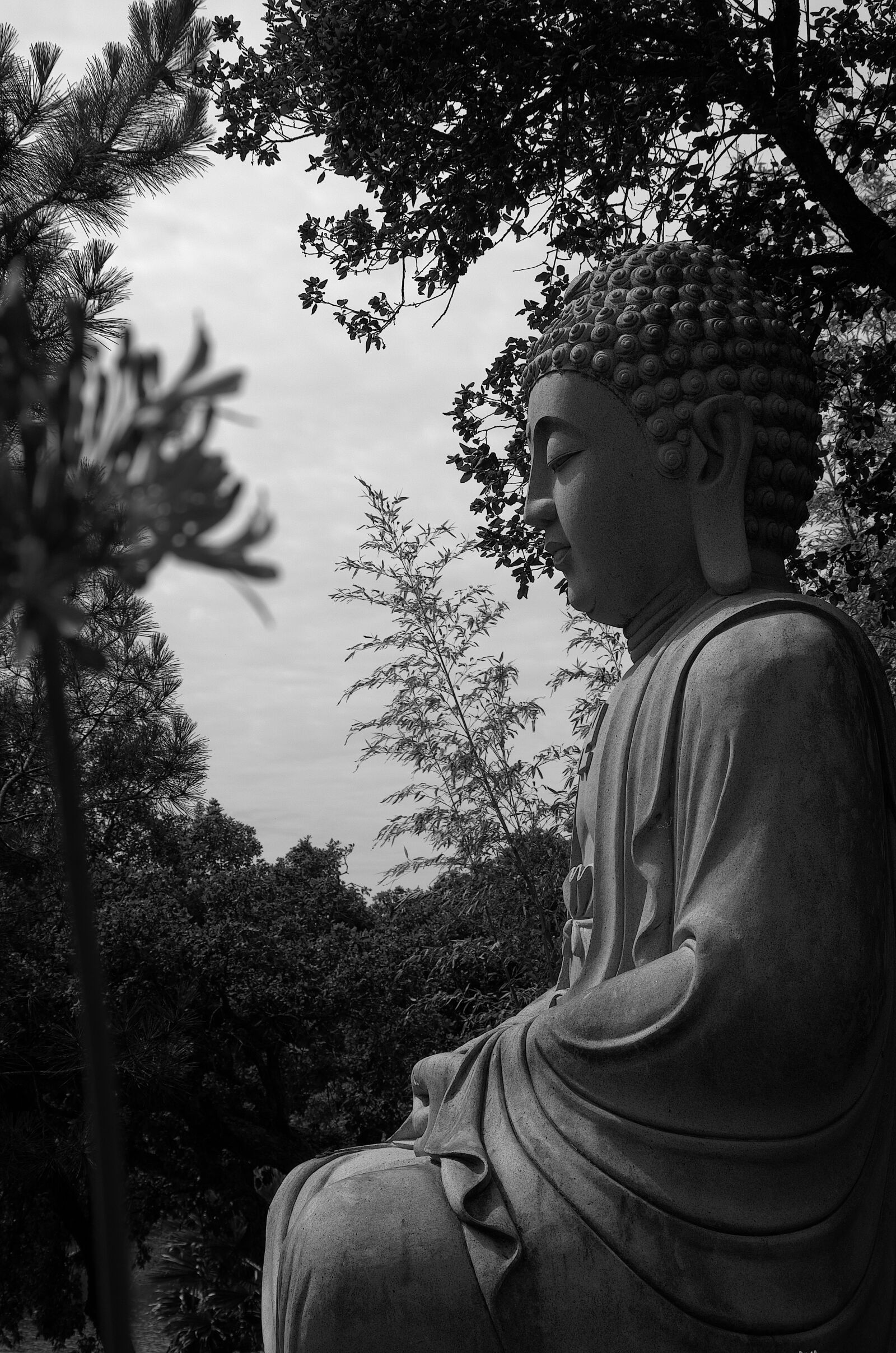 Nikon D5100 sample photo. Peace, zen, buddha photography