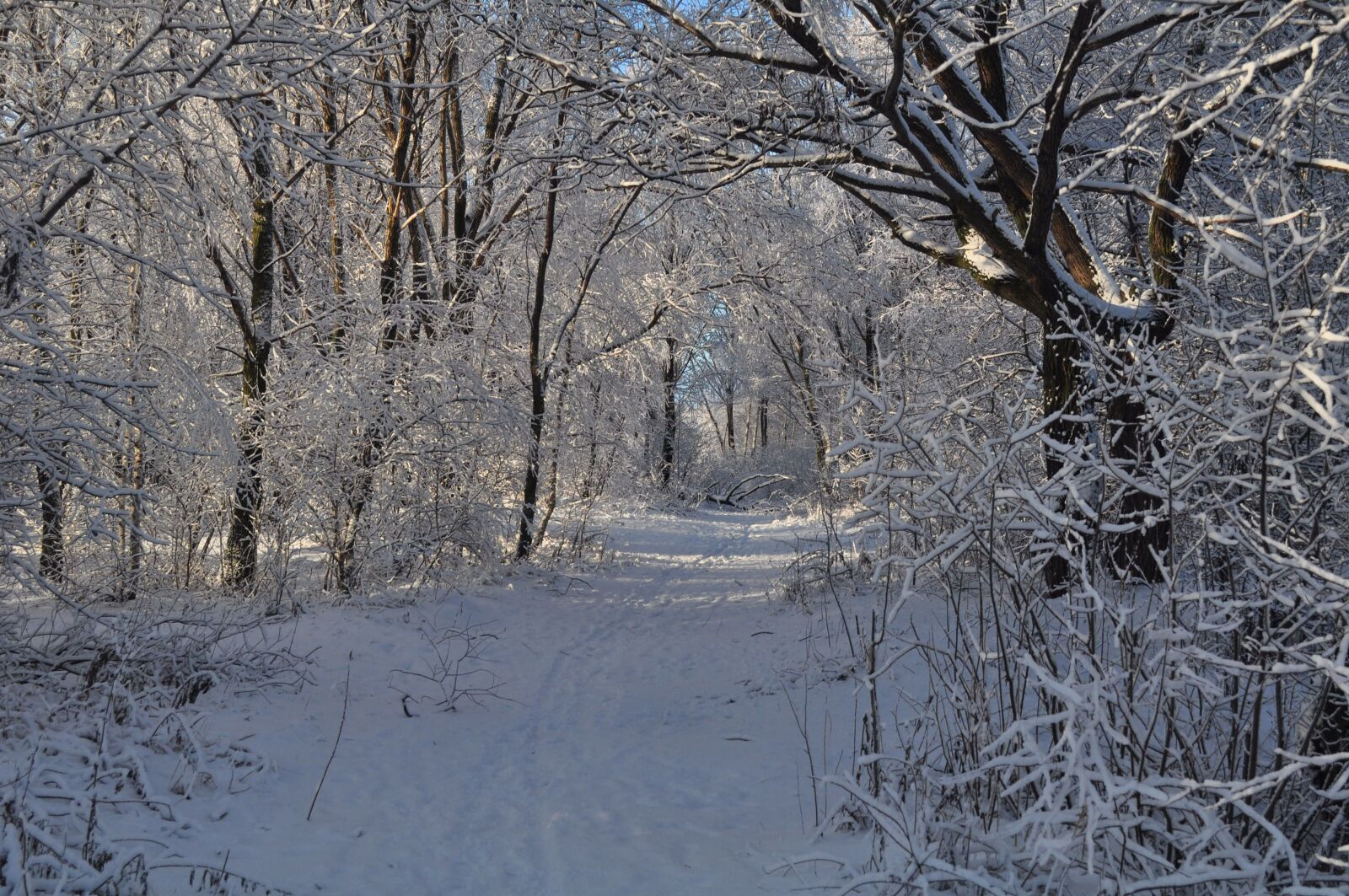 Nikon D90 sample photo. Winter, road, snow photography