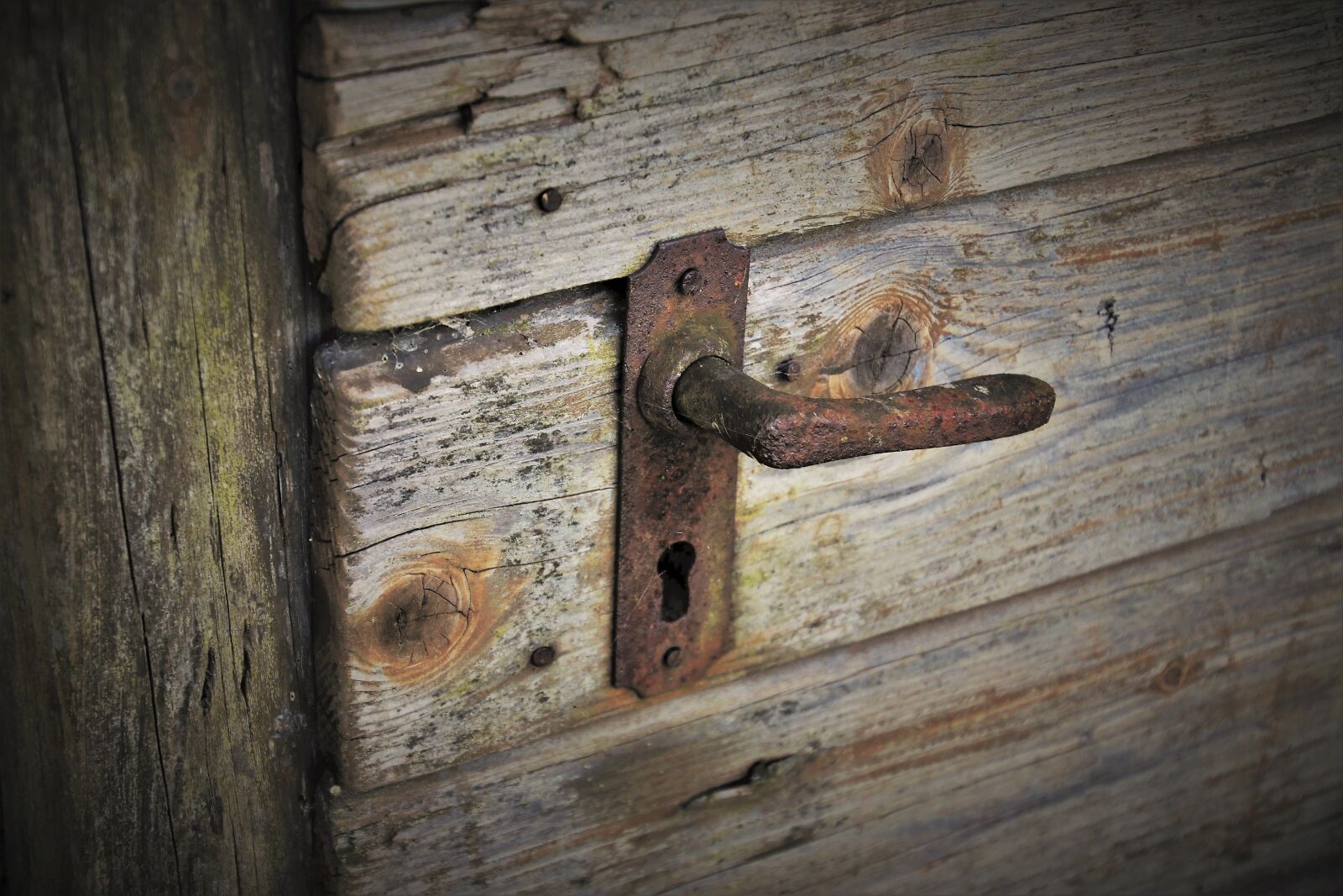 Canon EOS 80D sample photo. Rust, entrance, closed photography