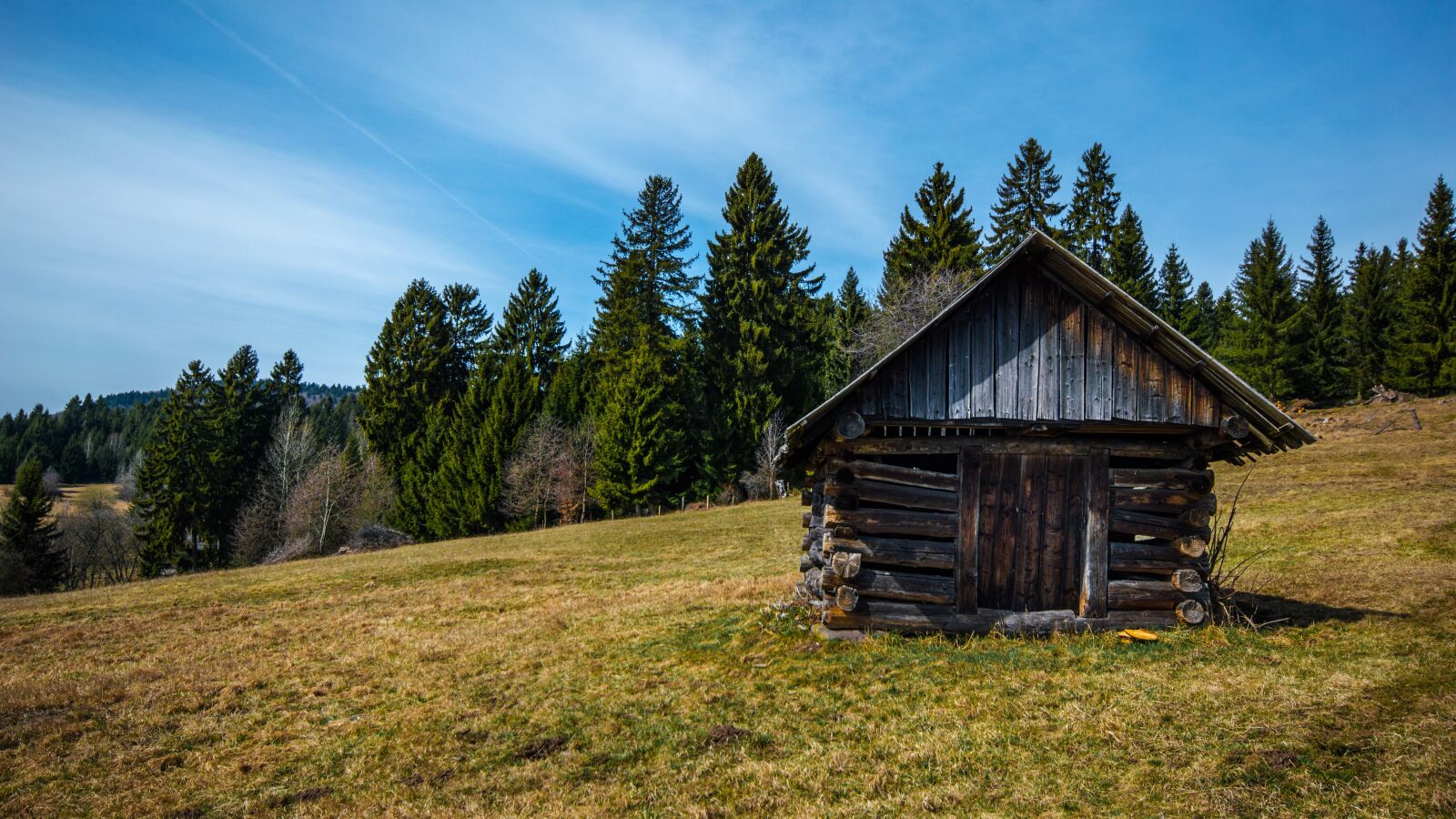 Nikon D3200 sample photo. Old, abandoned, mow photography