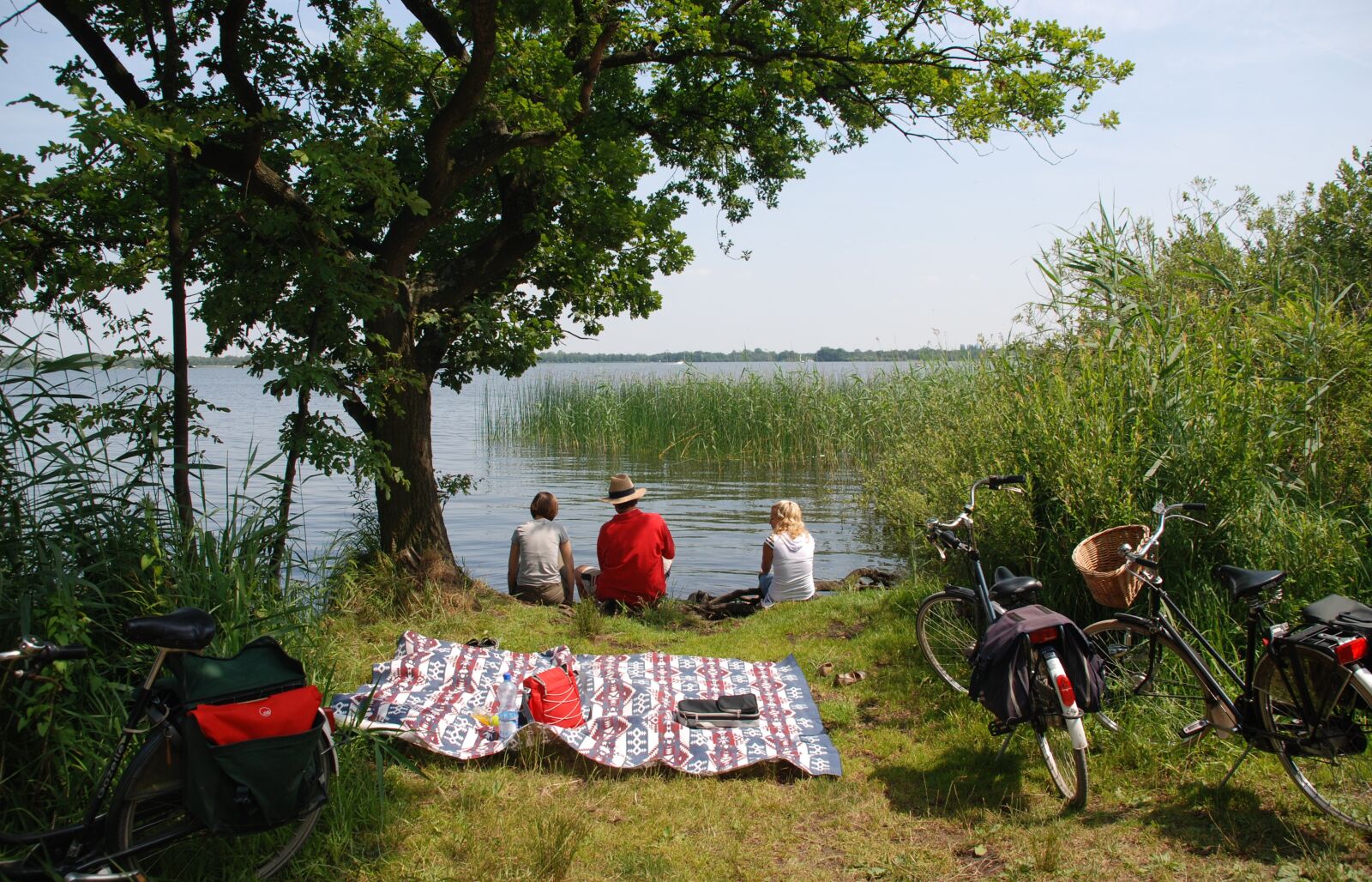 Nikon D80 sample photo. Netherlands, landscape, nature photography