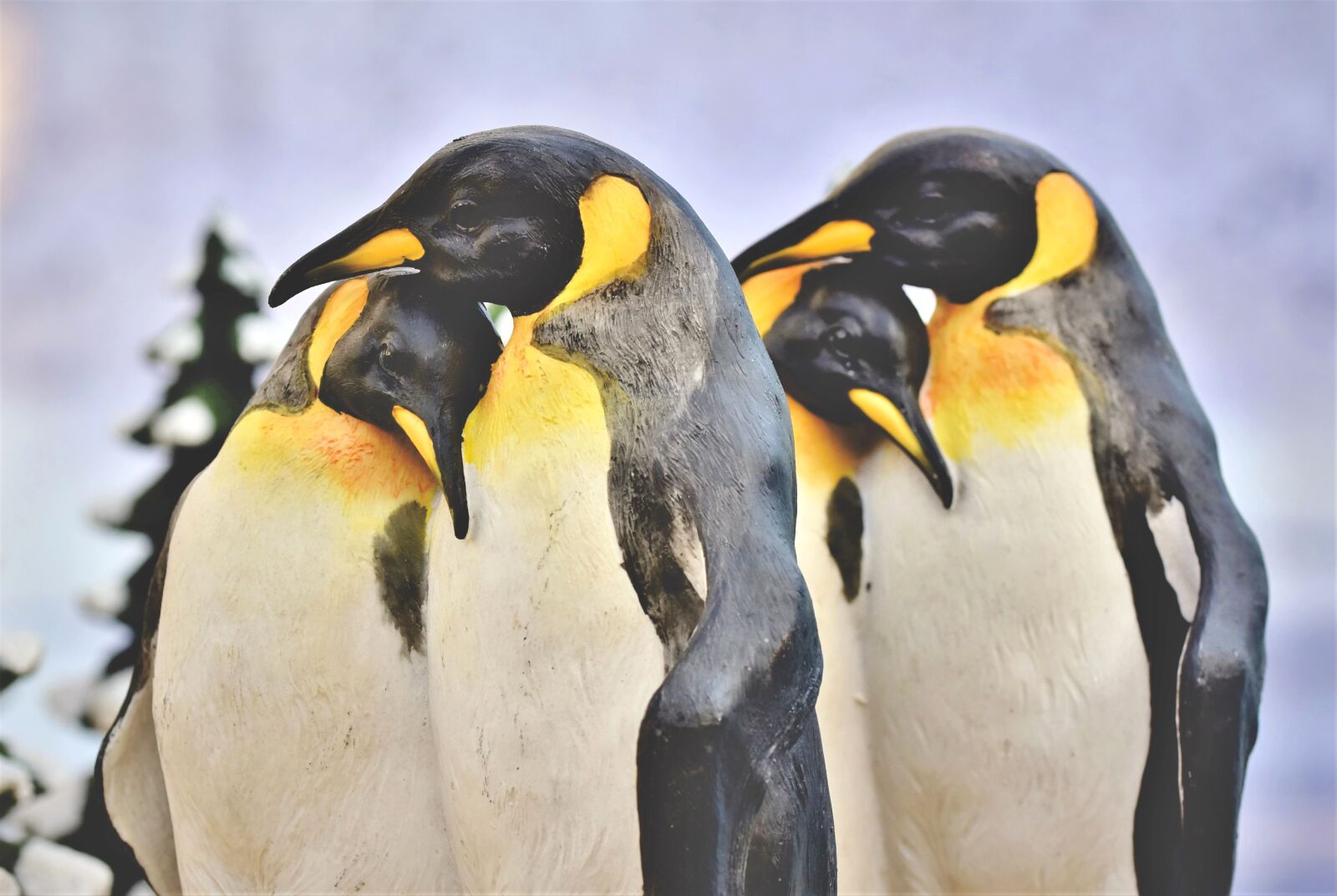 Nikon D7200 sample photo. Penguin, figure, deco photography
