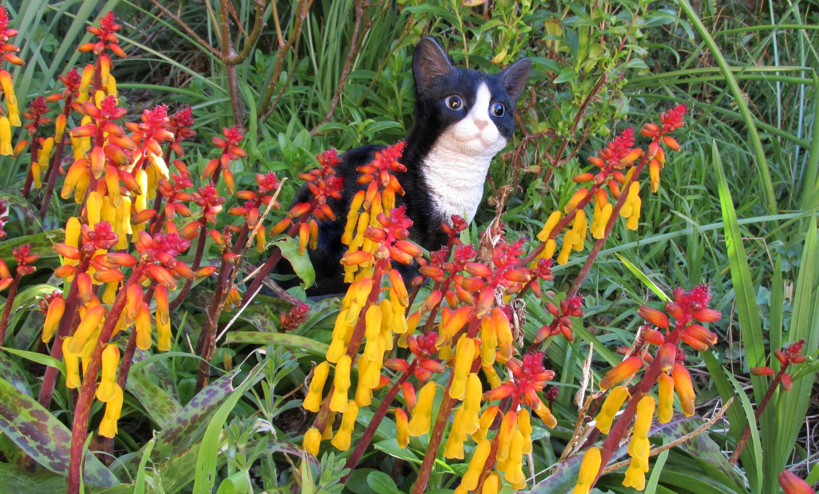 Canon PowerShot SX170 IS sample photo. Cat, statue, flowers photography