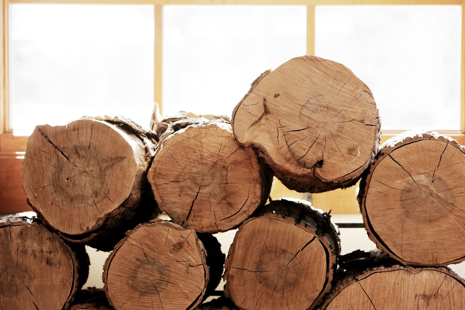 Canon EF 70-200mm F2.8L IS USM sample photo. Wood, logs, lumber photography