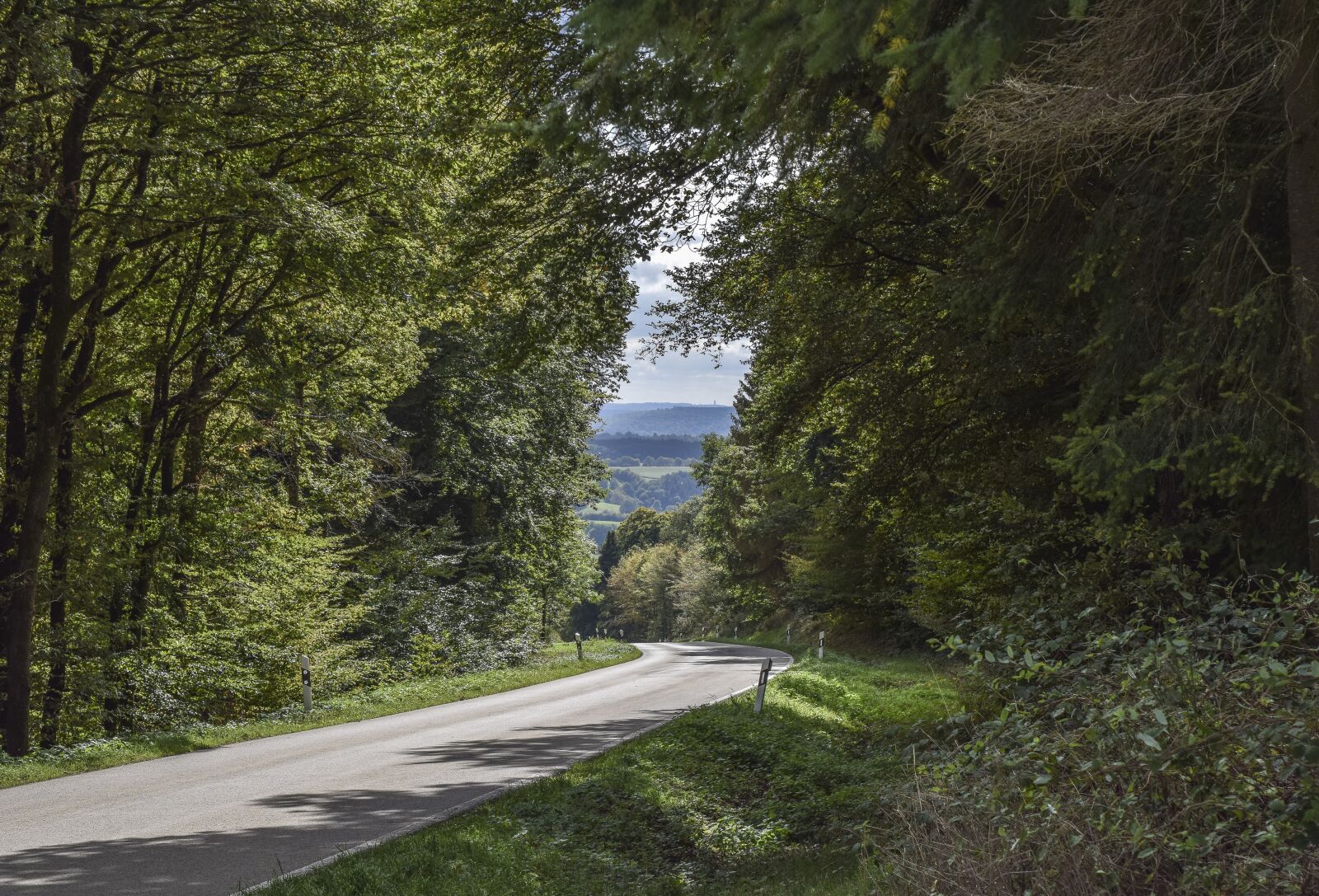 Nikon D3300 sample photo. Landscape, forest, nature photography