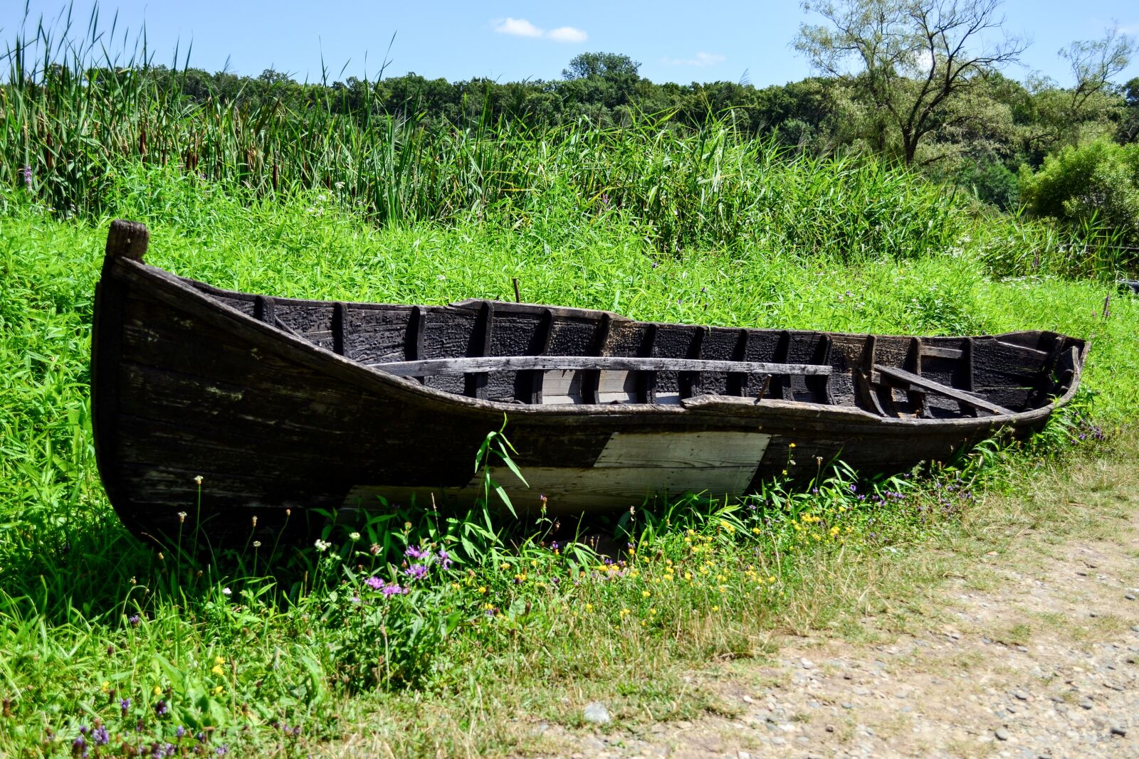 Nikon D3100 sample photo. Boat, old, field photography