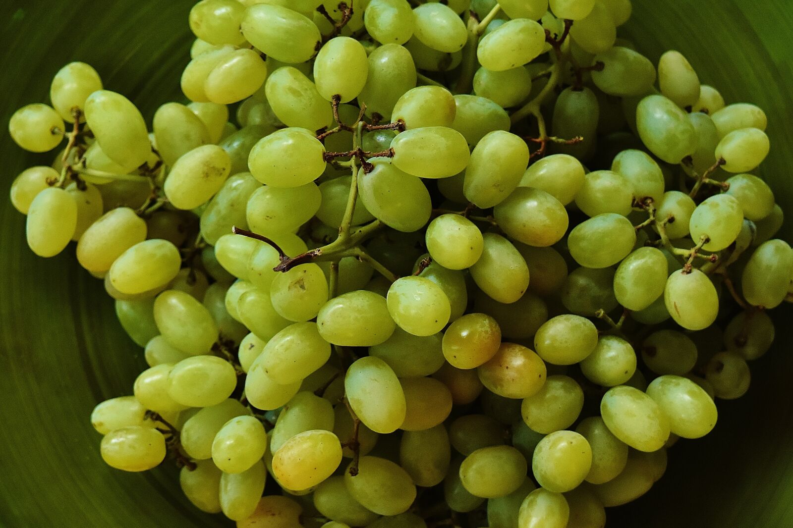 Nikon D7200 sample photo. Grapes, plate, fruit photography