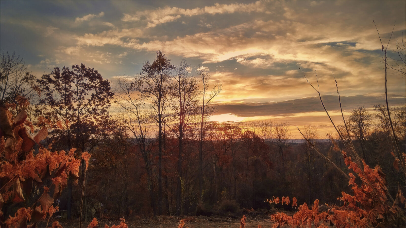 LG G4 sample photo. Clouds, dawn, daylight, dusk photography