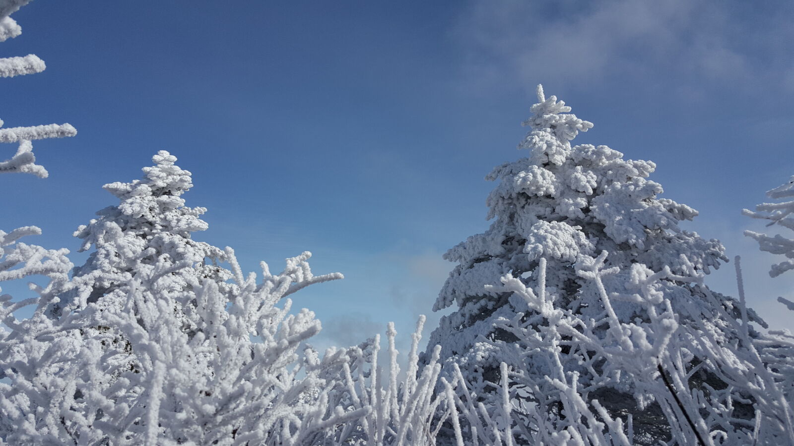 Samsung Galaxy Note5 sample photo. Korea, mountain, taebaeksan, winter photography