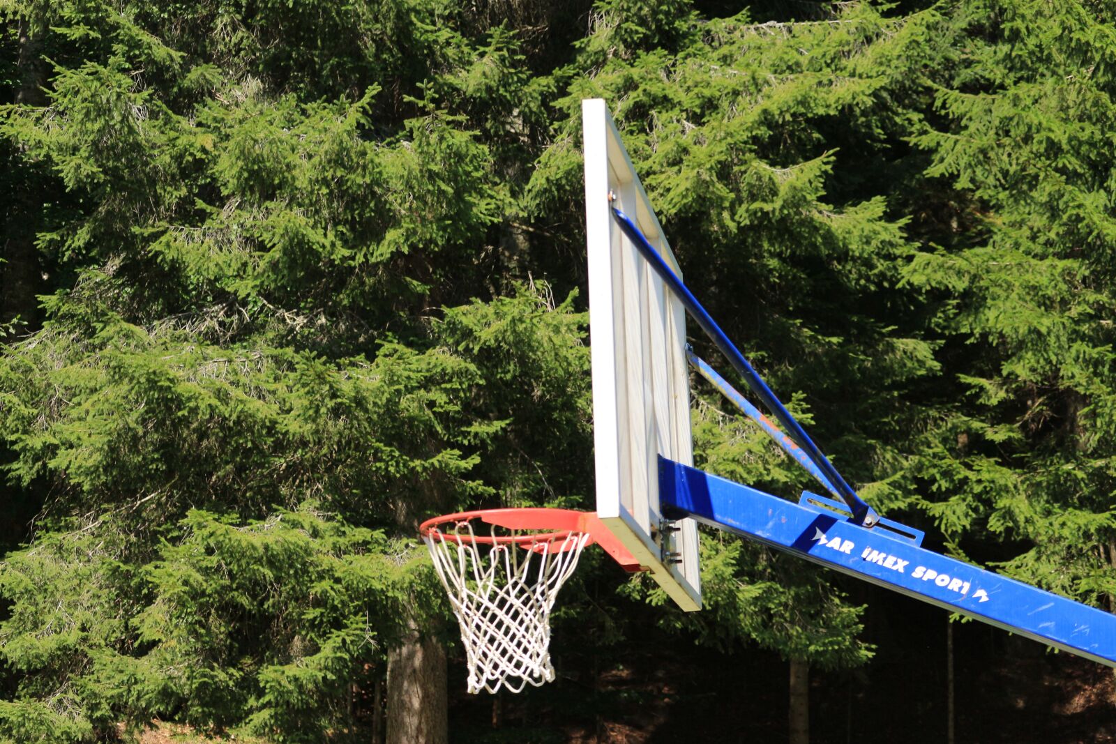 Canon EOS 700D (EOS Rebel T5i / EOS Kiss X7i) sample photo. Basketball, rim, hoop photography