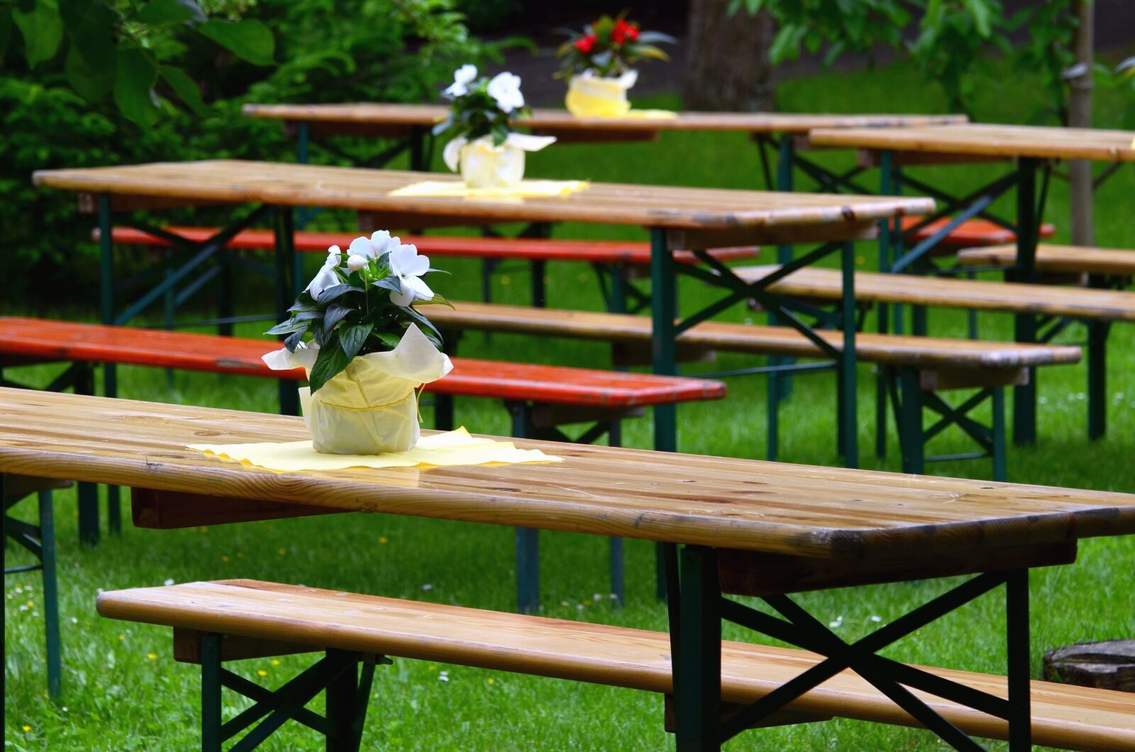 Nikon D5100 sample photo. Table, bench, nature, furniture photography