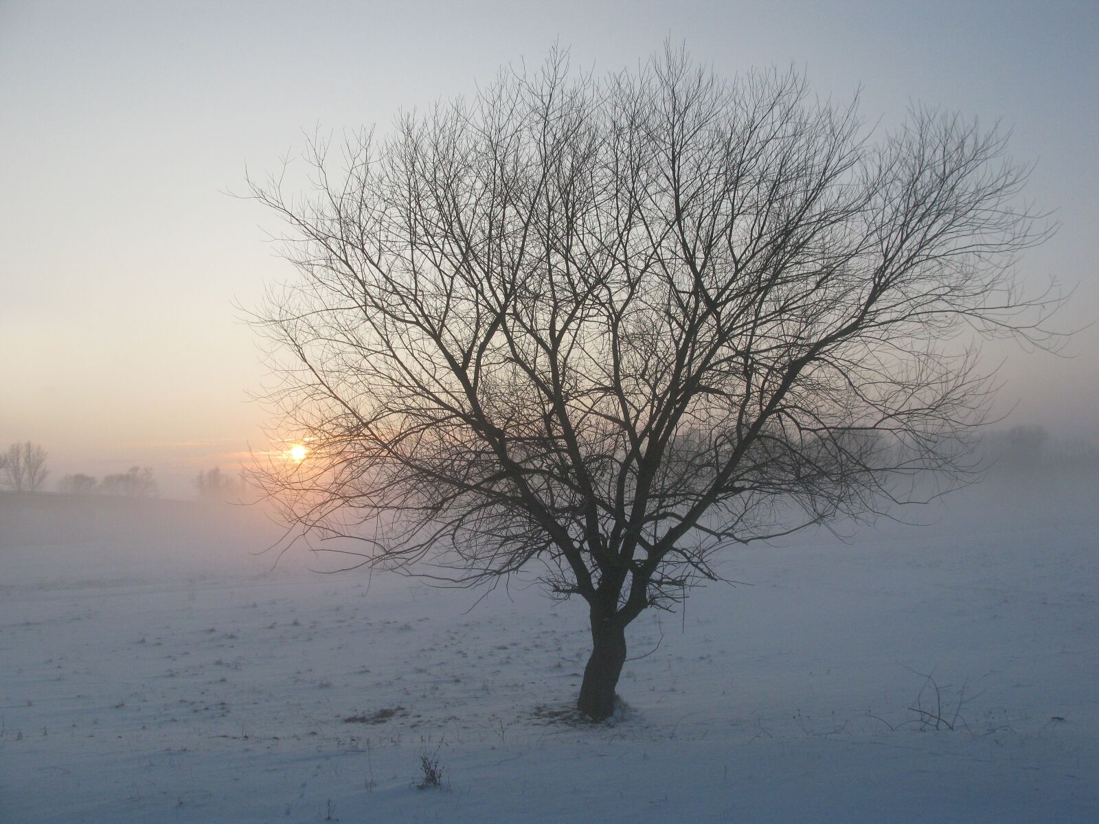 Canon POWERSHOT G9 sample photo. Winter, fog, mysterious photography