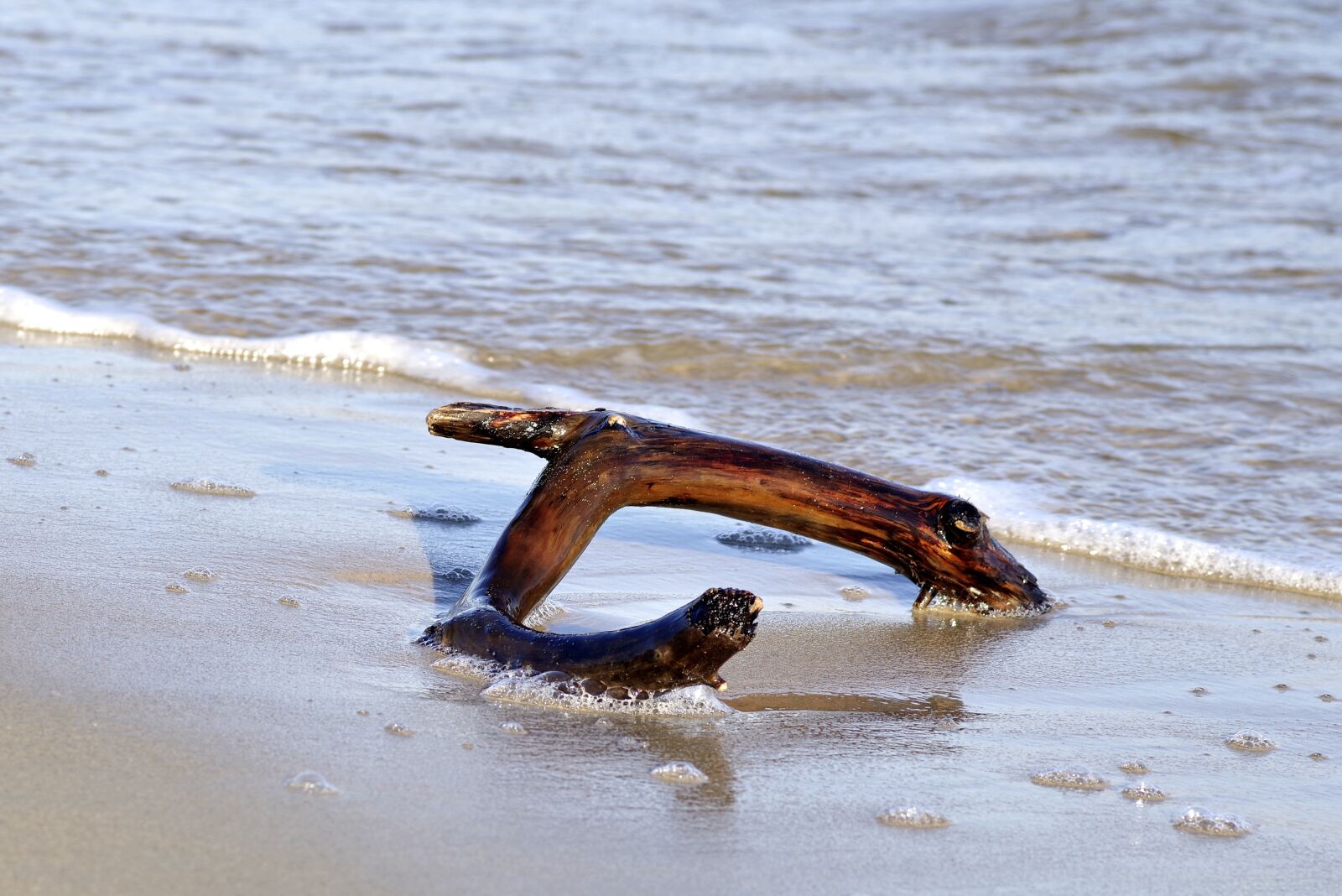 Pentax K-S2 sample photo. Sea, beach, wild photography