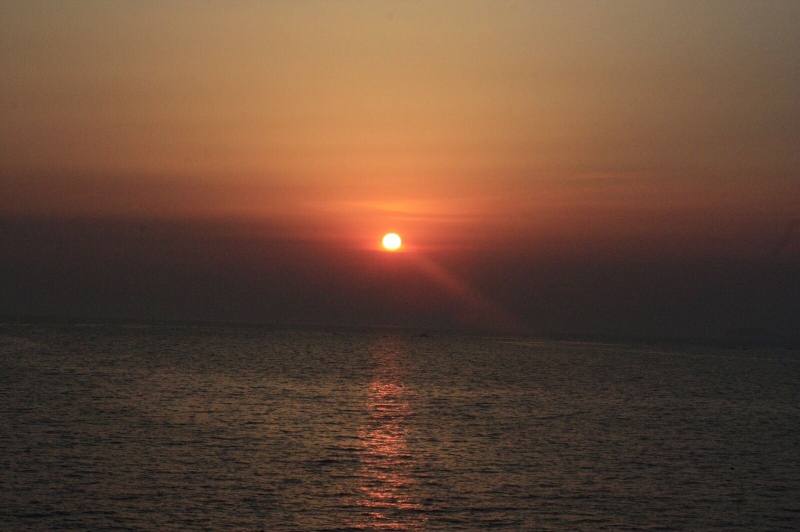 Canon EOS 450D (EOS Rebel XSi / EOS Kiss X2) sample photo. Sun, sunset, see photography