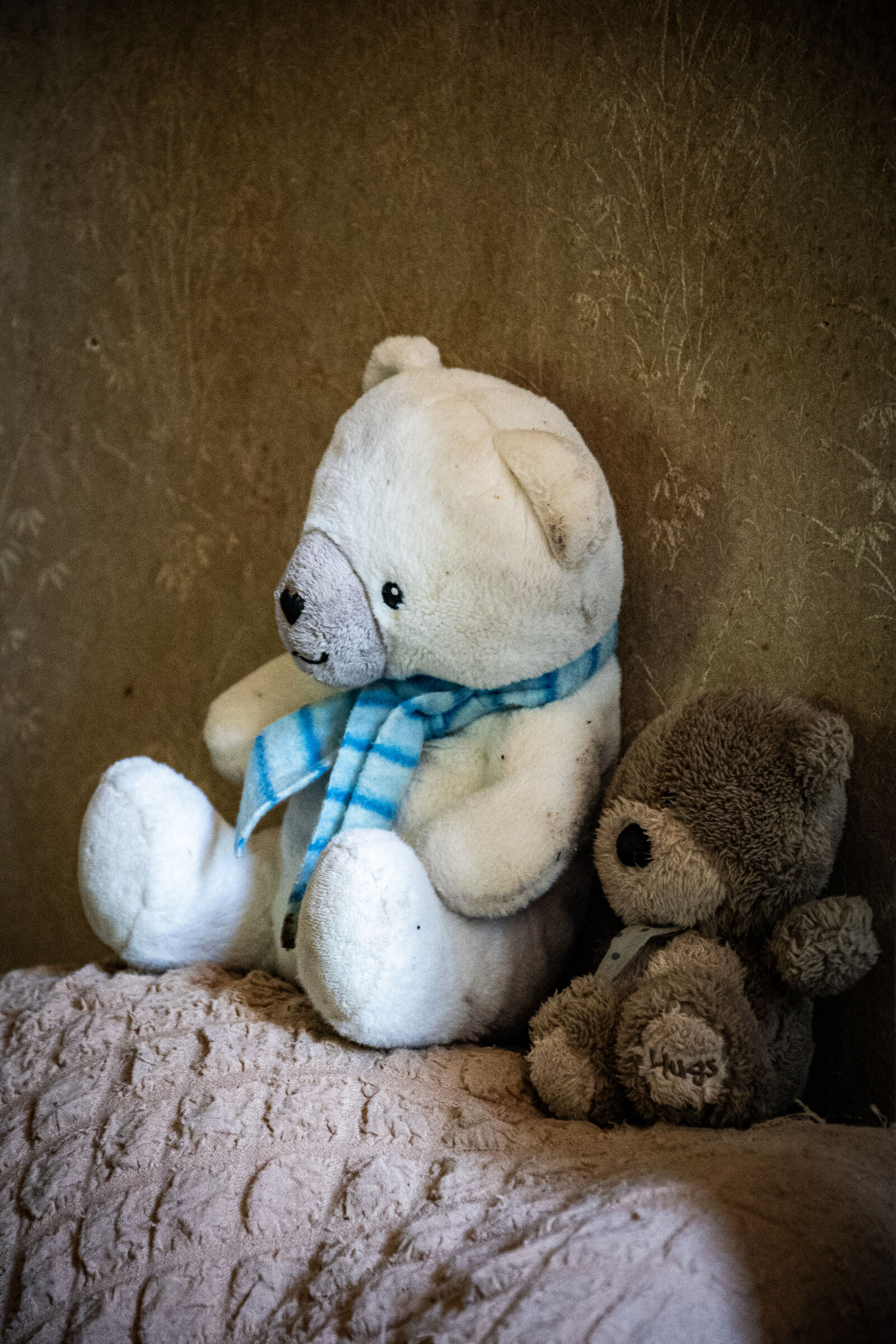 Nikon D750 sample photo