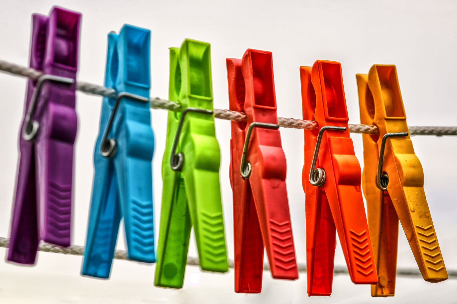 Canon EOS 5D sample photo. Clothespins, leash, clothes line photography