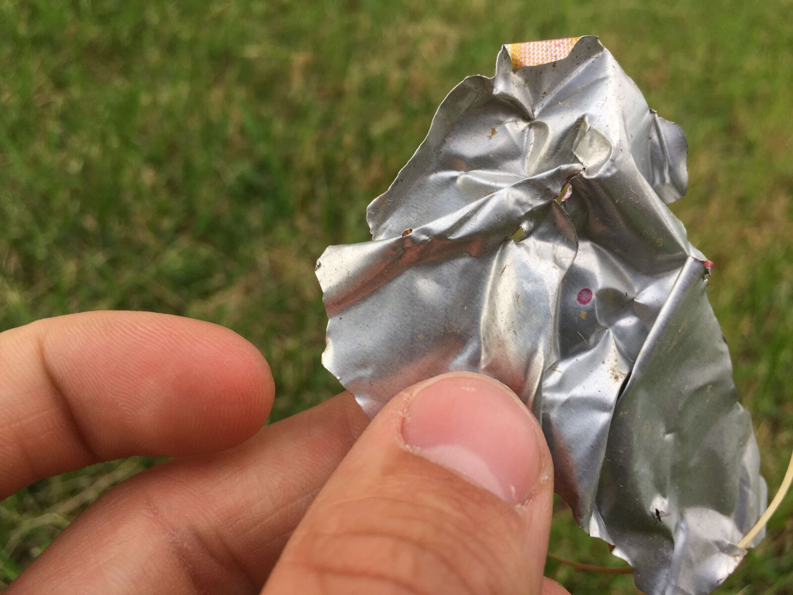 iPhone 6 back camera 4.15mm f/2.2 sample photo. C, can, grass, hand photography