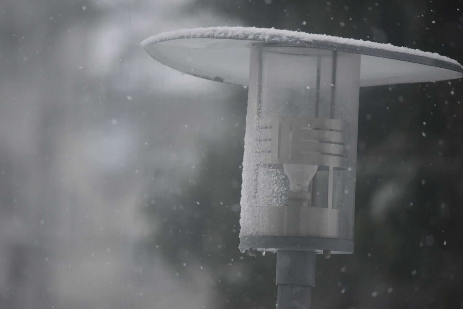 Nikon D810 sample photo. Streetlamp at the snowfall photography